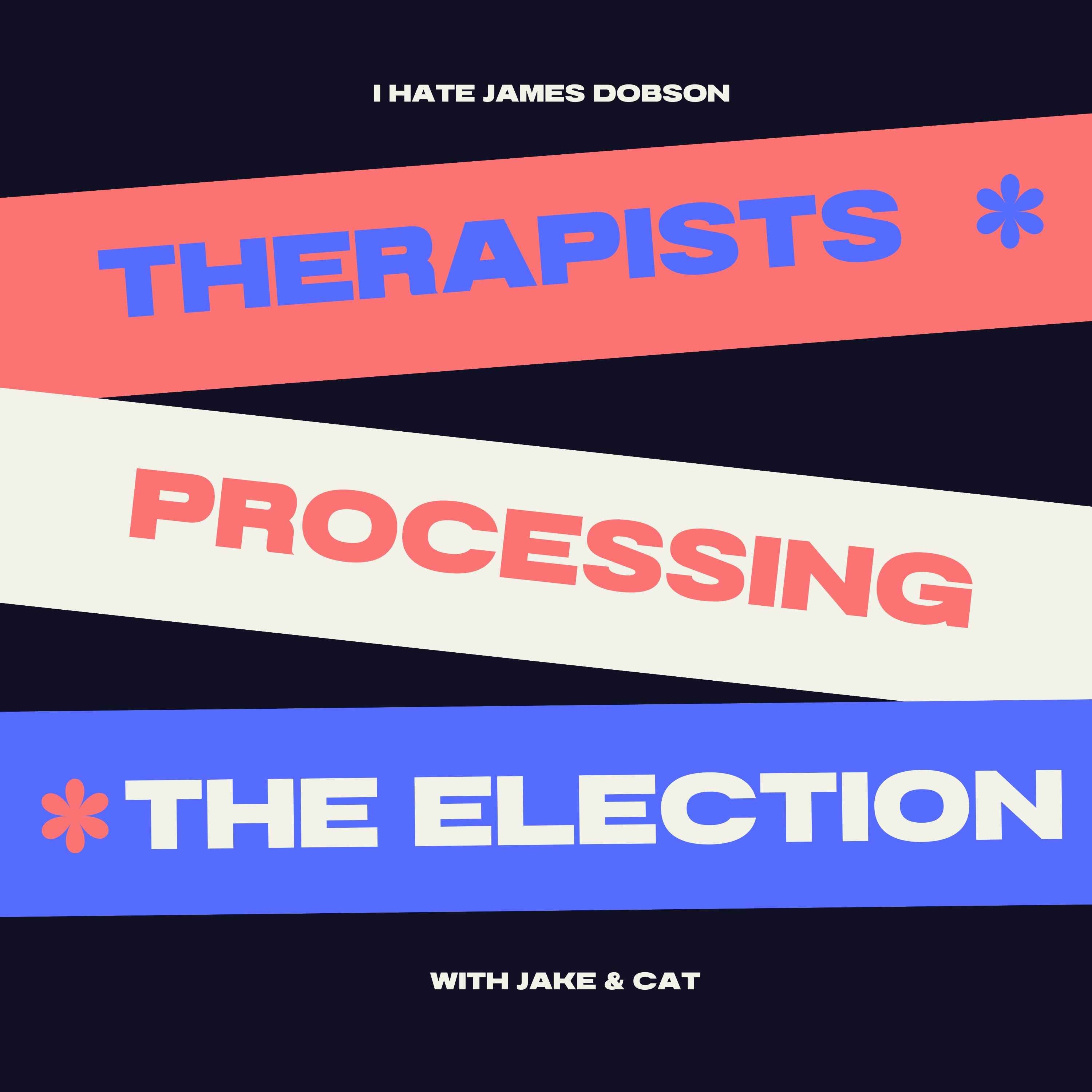 Episode 19: Therapists Processing the Election