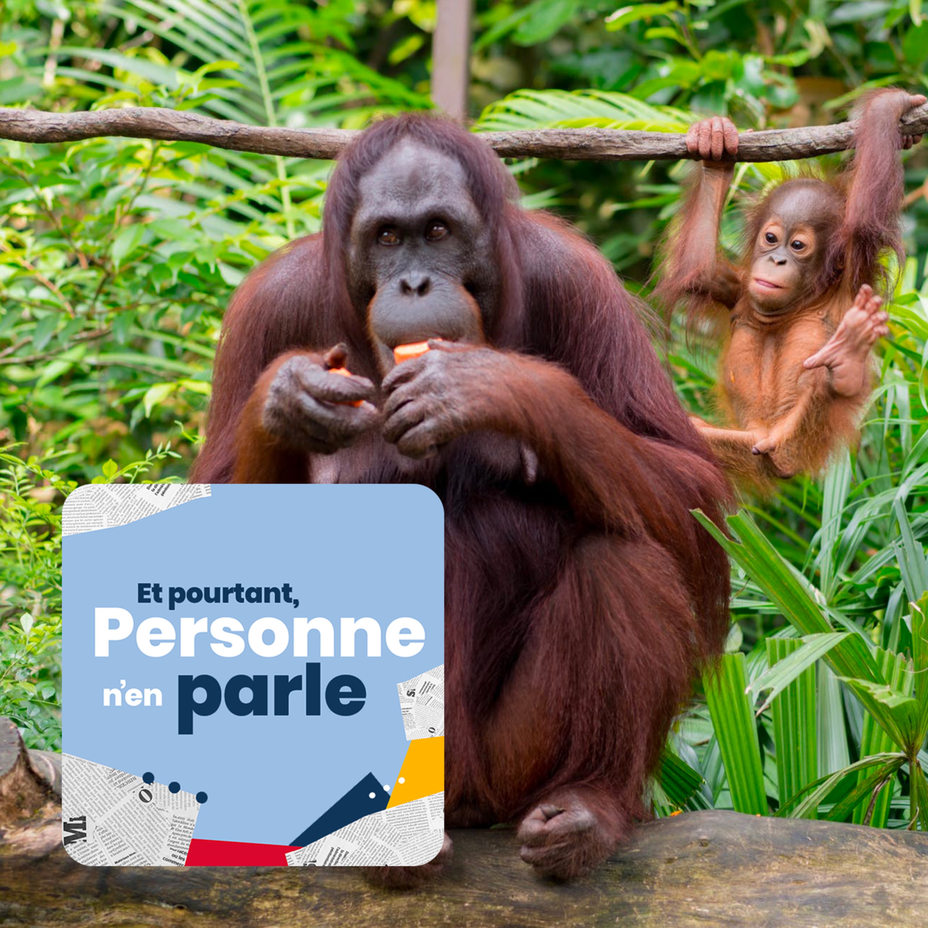 Et pourtant, personne n’en parle