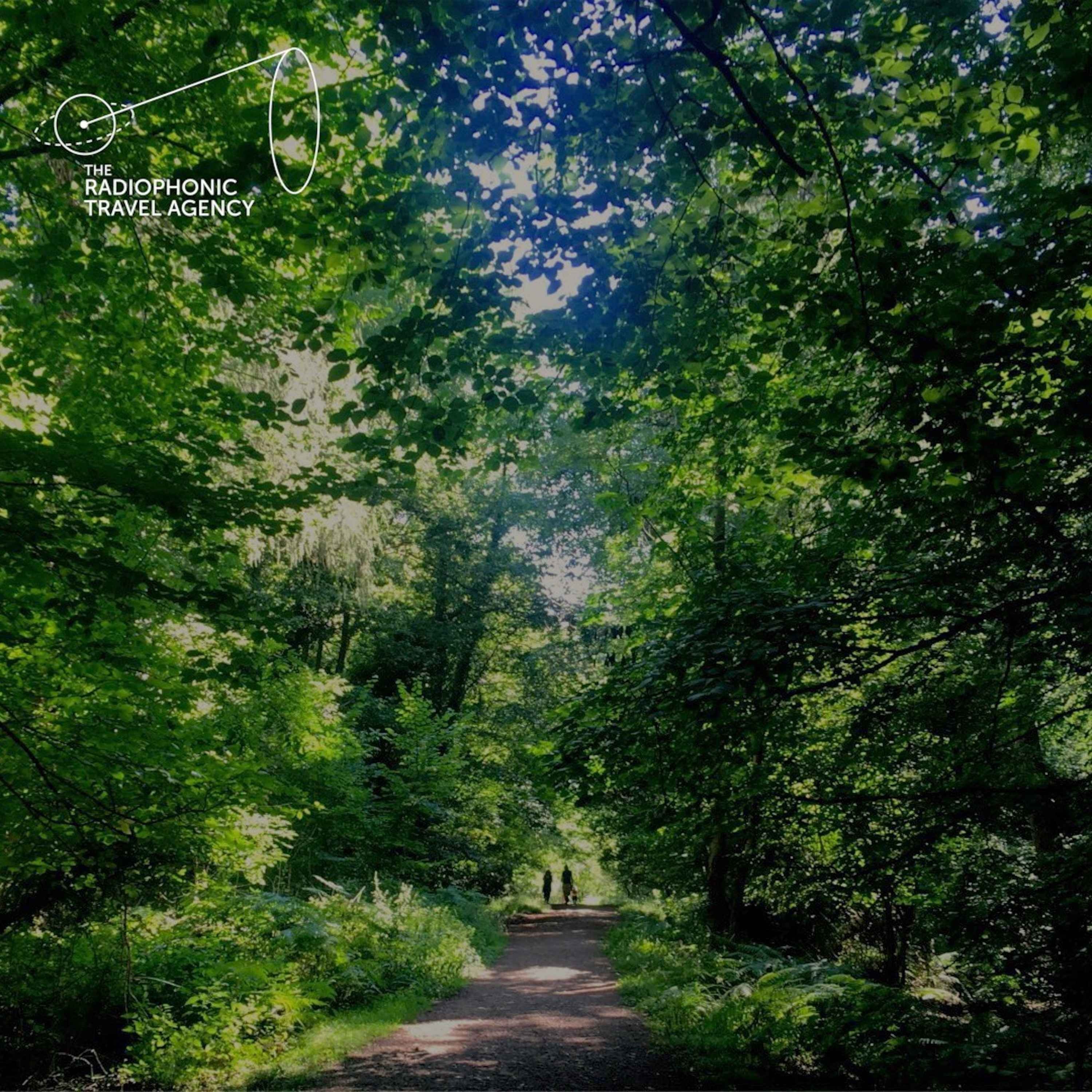 Work in the Forest of Dean episode artwork