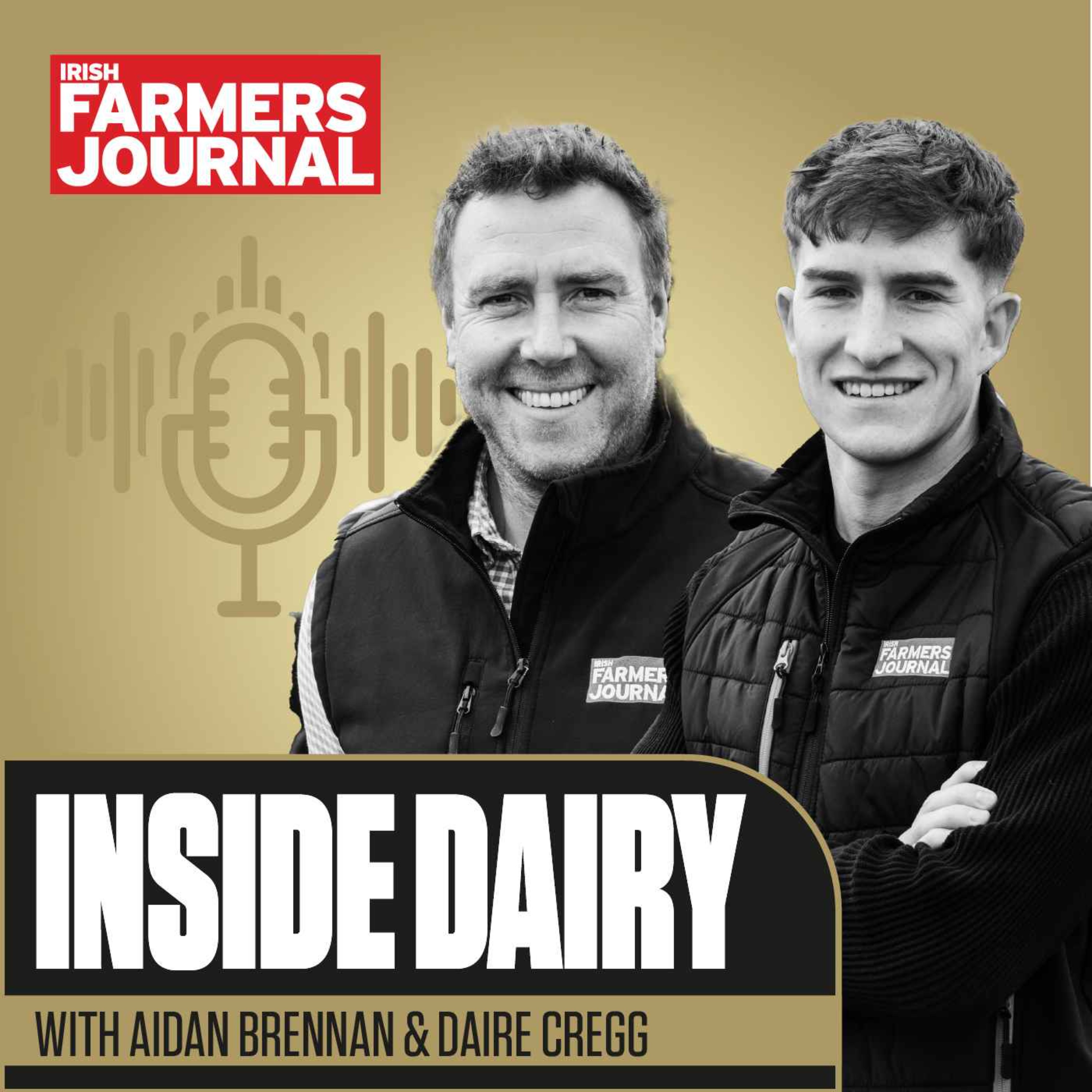 Trailer Inside Dairy - London lessons, Tirlán, and a curious AI trend episode artwork