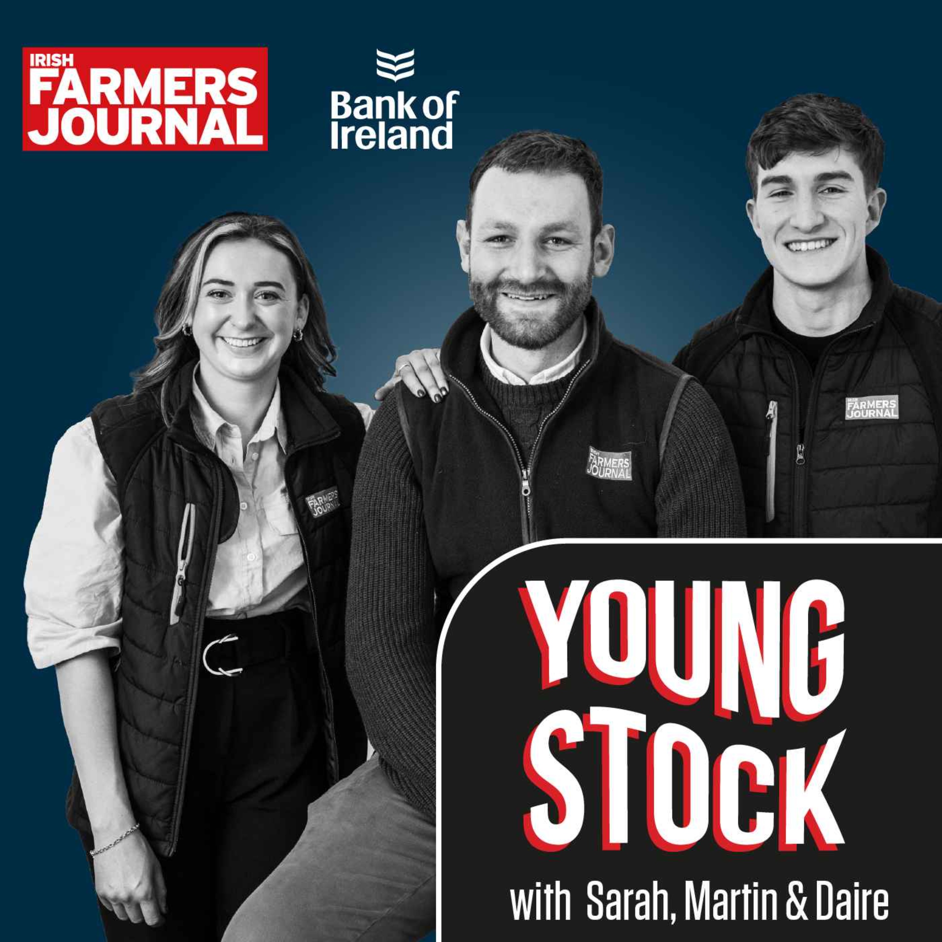 Young Stock Podcast - Who tells farming’s story best? episode artwork