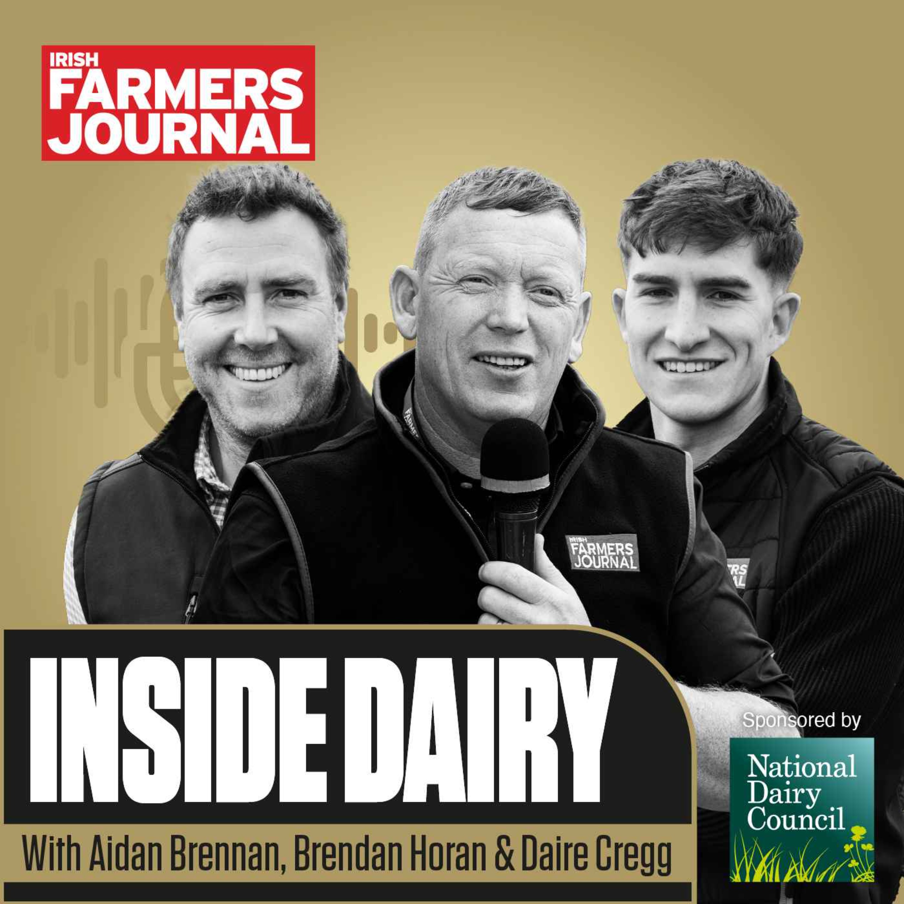 Trailer Inside Dairy - Milk league movements and the prospect of higher payments for grass-fed dairy episode artwork