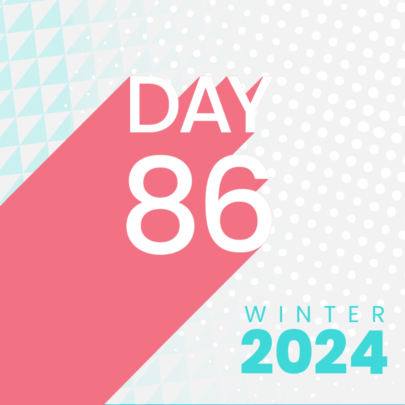 Let's Talk Next Steps with Dr. Deena Kara Shaffer - Winter 2024