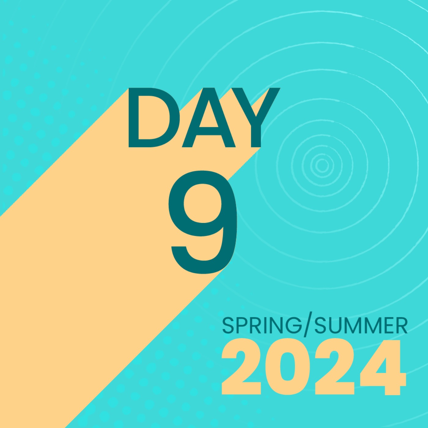 How to Utilize the Information with Dr. Deena Kara Shaffer - Spring/Summer 2024