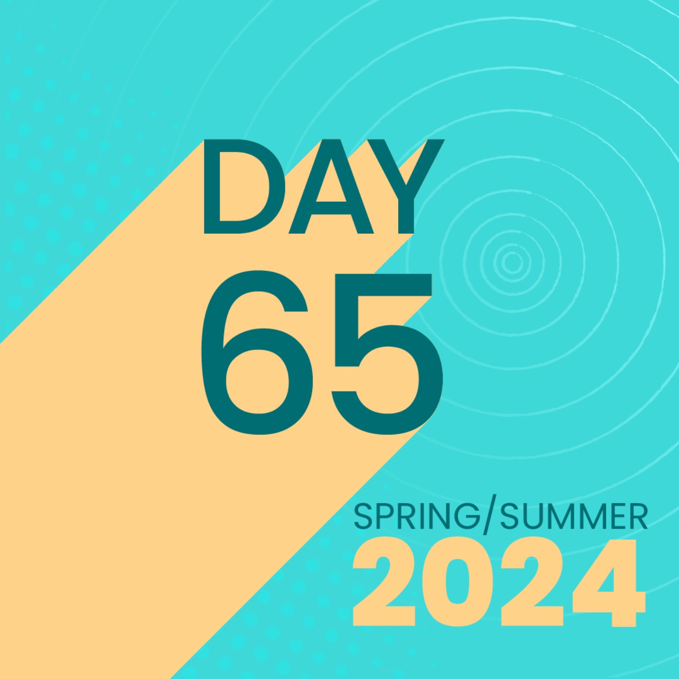 Let's Talk Where You Are and Where You Want to Be with Dr. Beverley David - Spring/Summer 2024