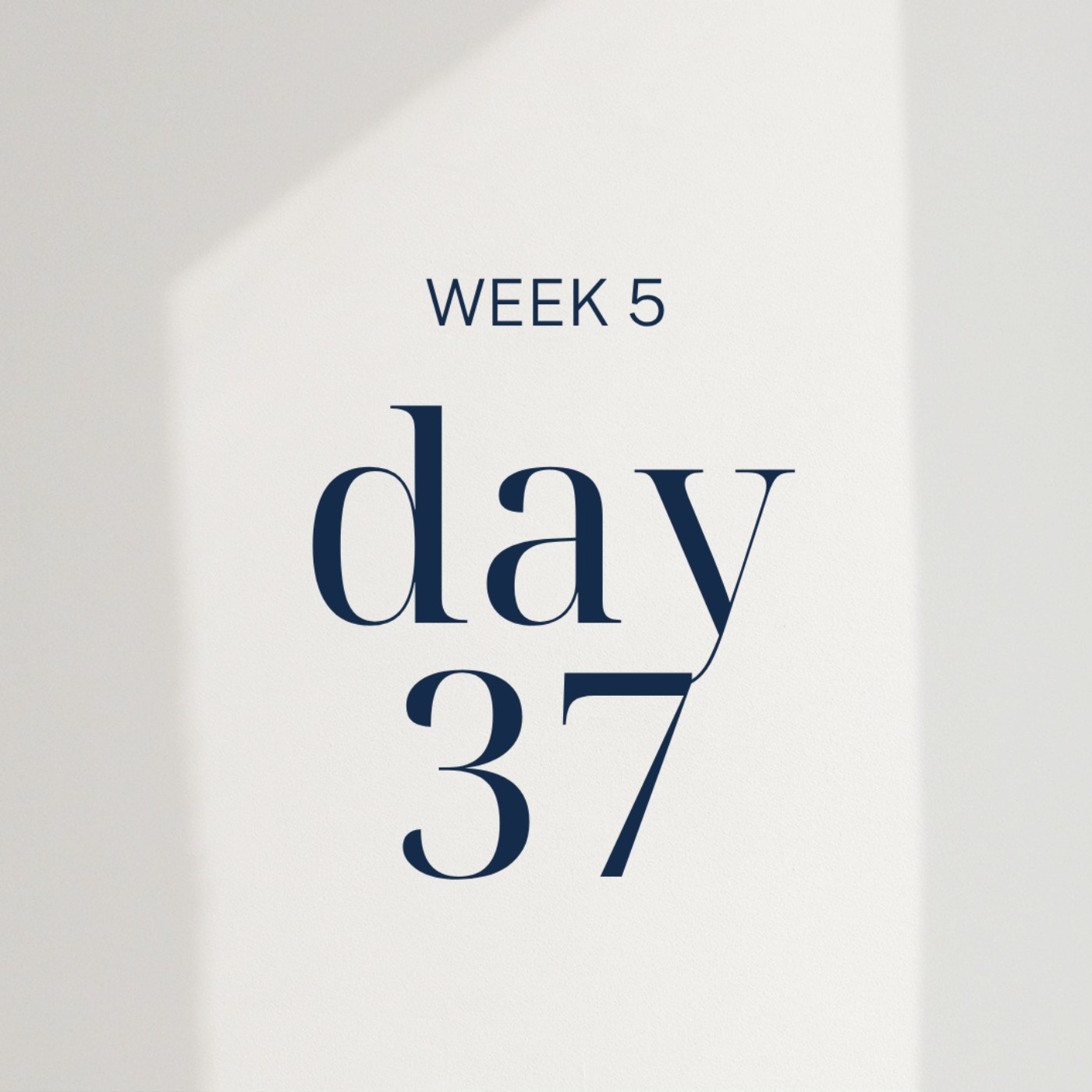Week 5, Day 37 with Dr. Olinca Trejo episode artwork