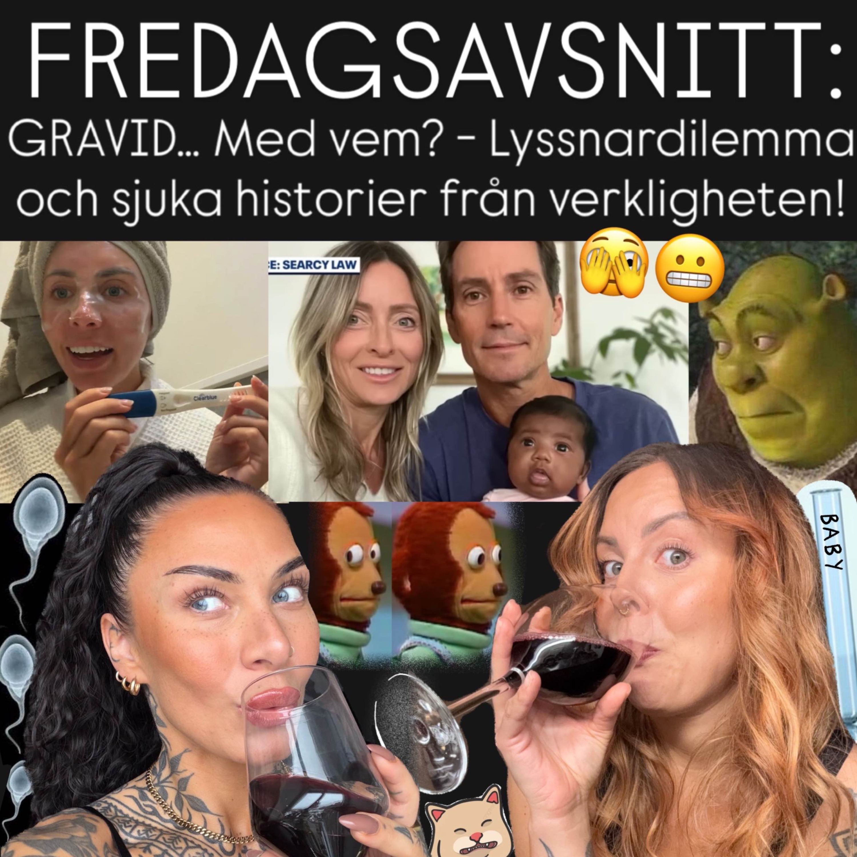 FREDAGSAVSNITT: GRAVID… Med vem? - Lyssnardilemma och sjuka historier från verkligheten! episode artwork