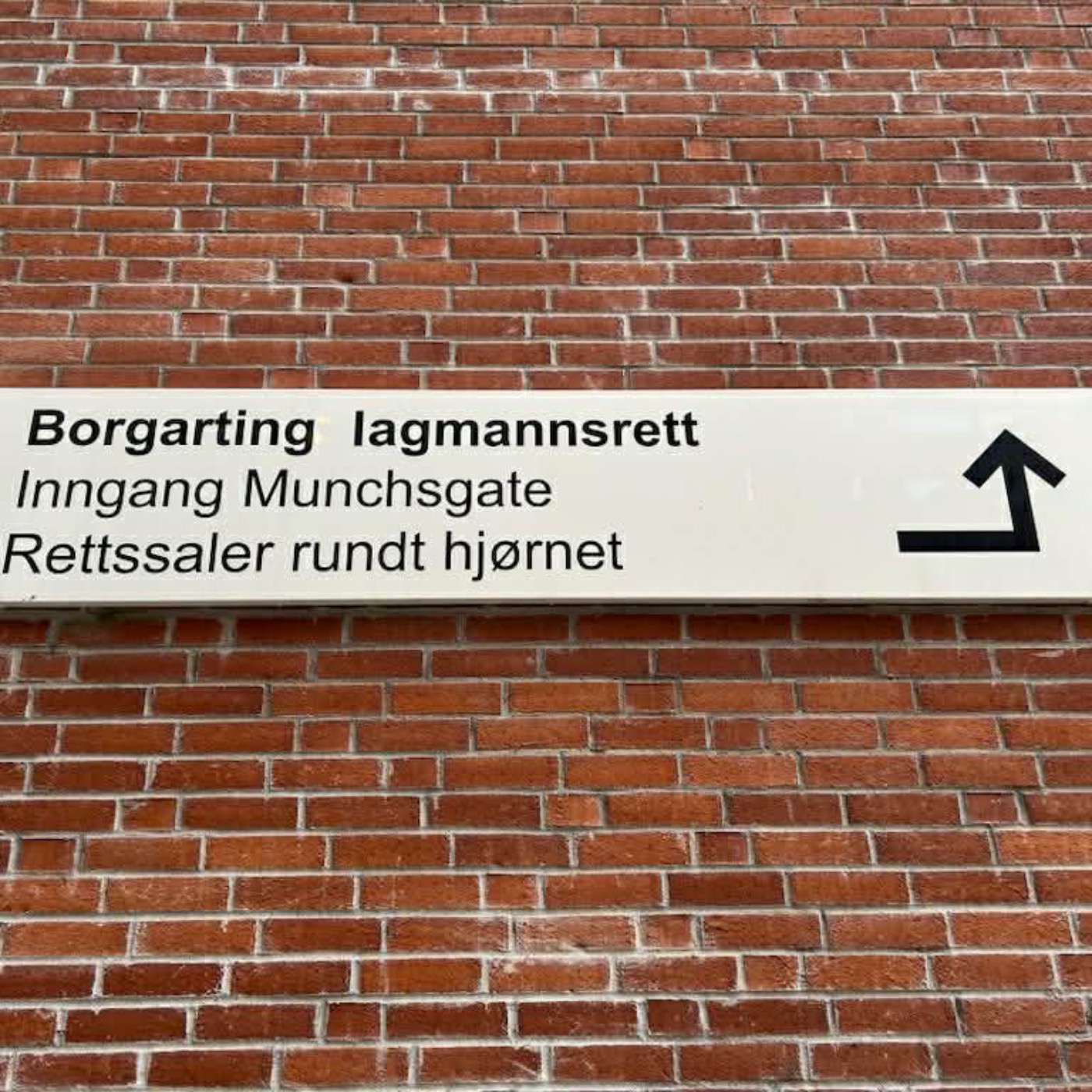 Bonusmateriale: Deler av forklaringen til medisinsk ansvarlig overlege på Gatehospitalet, Karim Sayed, under Stig Asplins ankesak mot staten i Borgarting Lagmannsrett i januar 2025 episode artwork