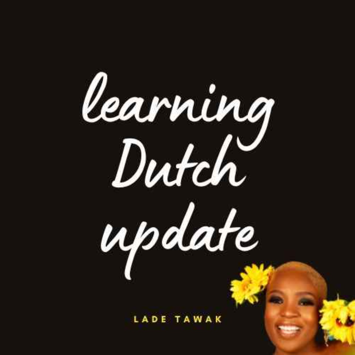 S02E187 - How learning Dutch is going