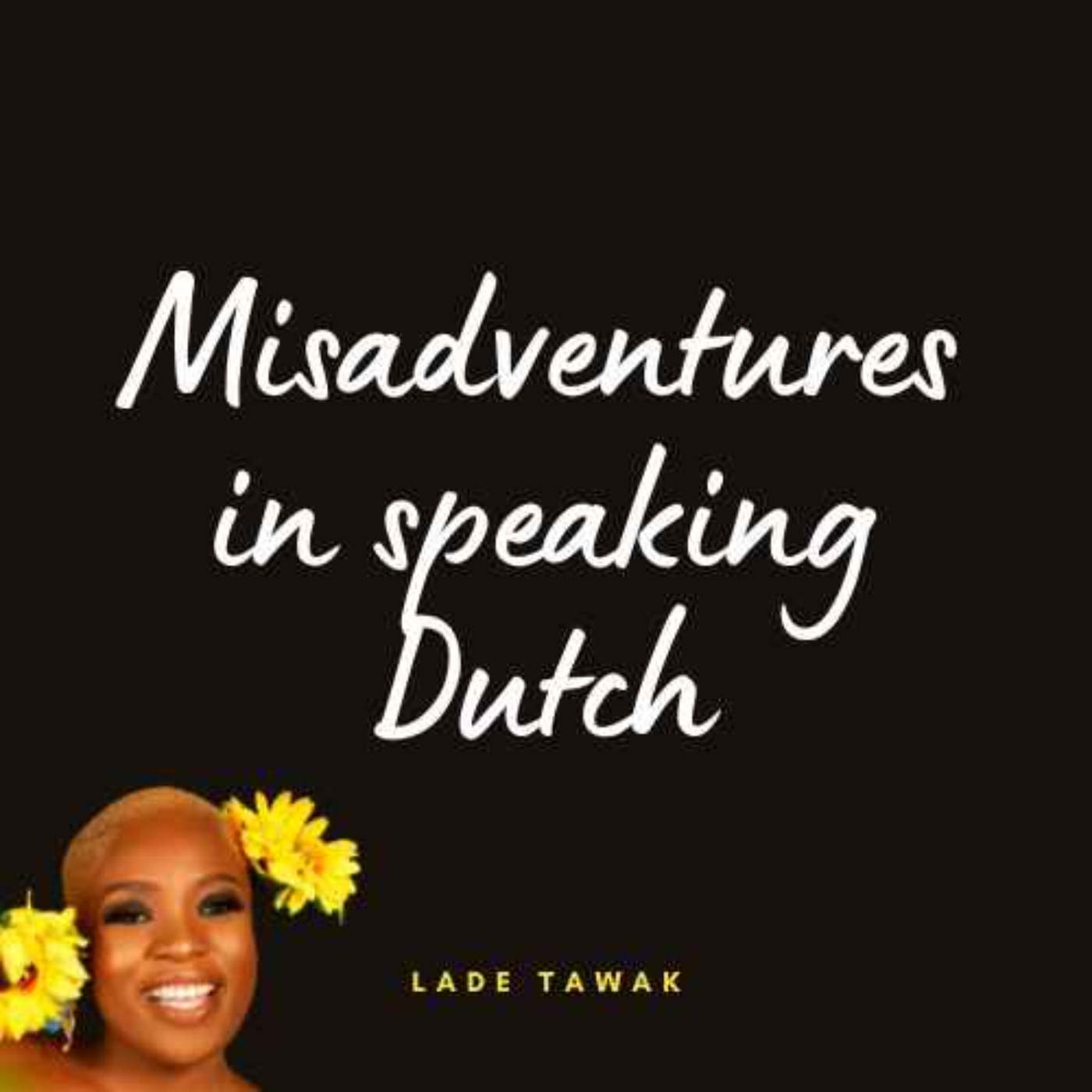 S02E313 - Misadventures in speaking Dutch