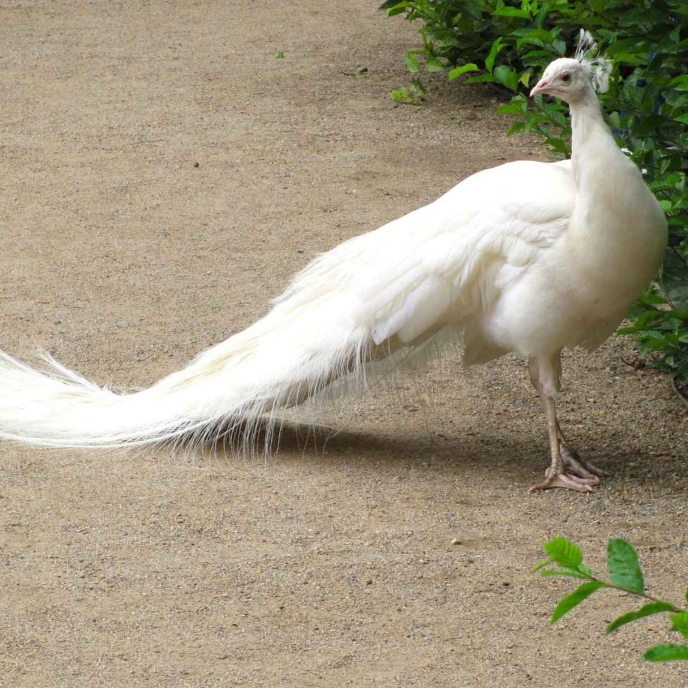 Požehnanie na každý deň