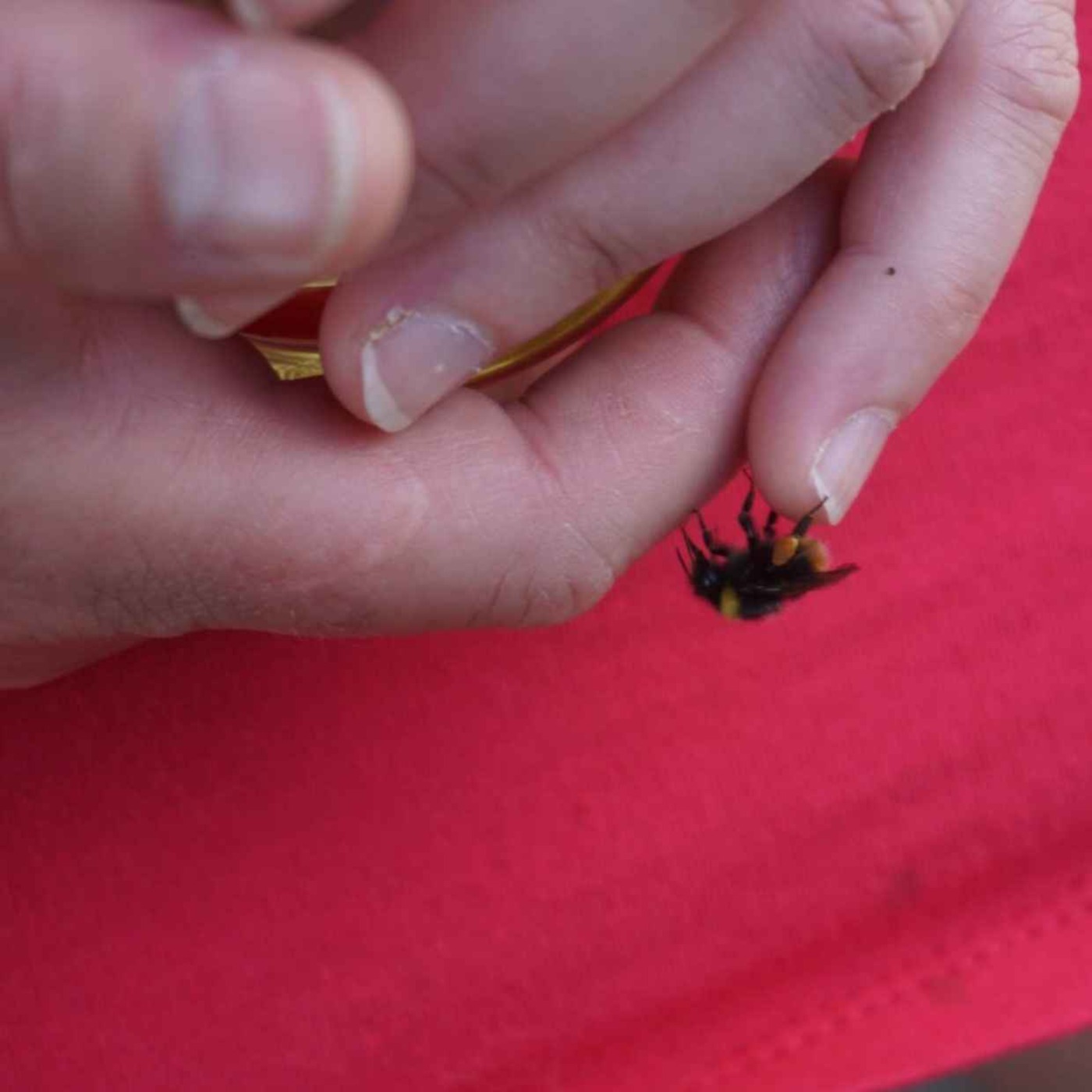 Požehnanie na každý deň