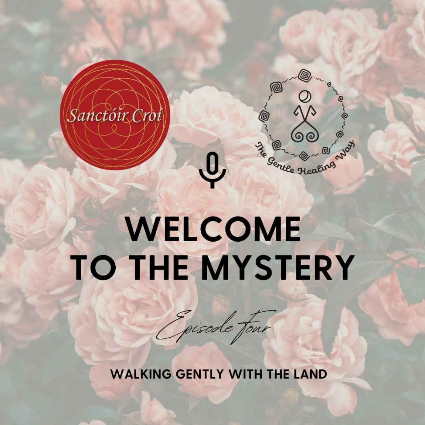 Welcome to the Mystery