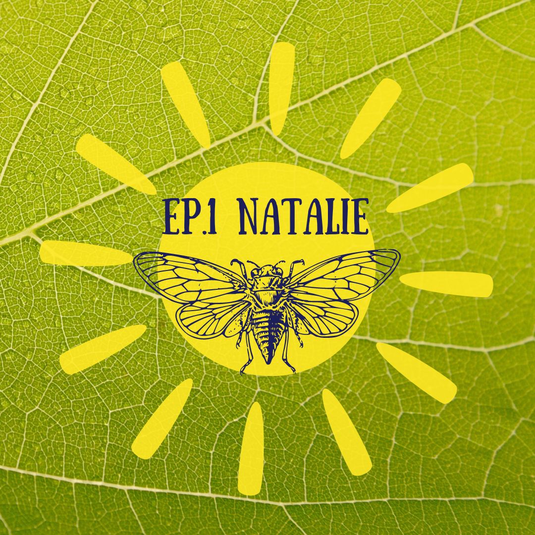 La révolte des Cigales - Natalie episode artwork