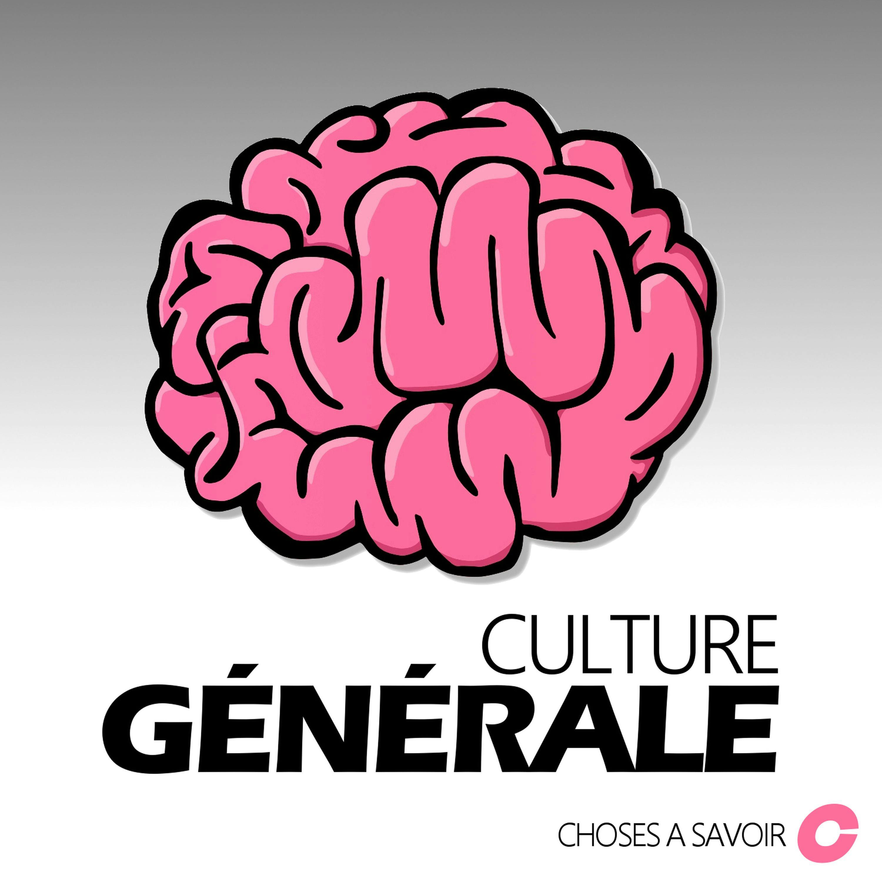 Choses à Savoir - Culture générale