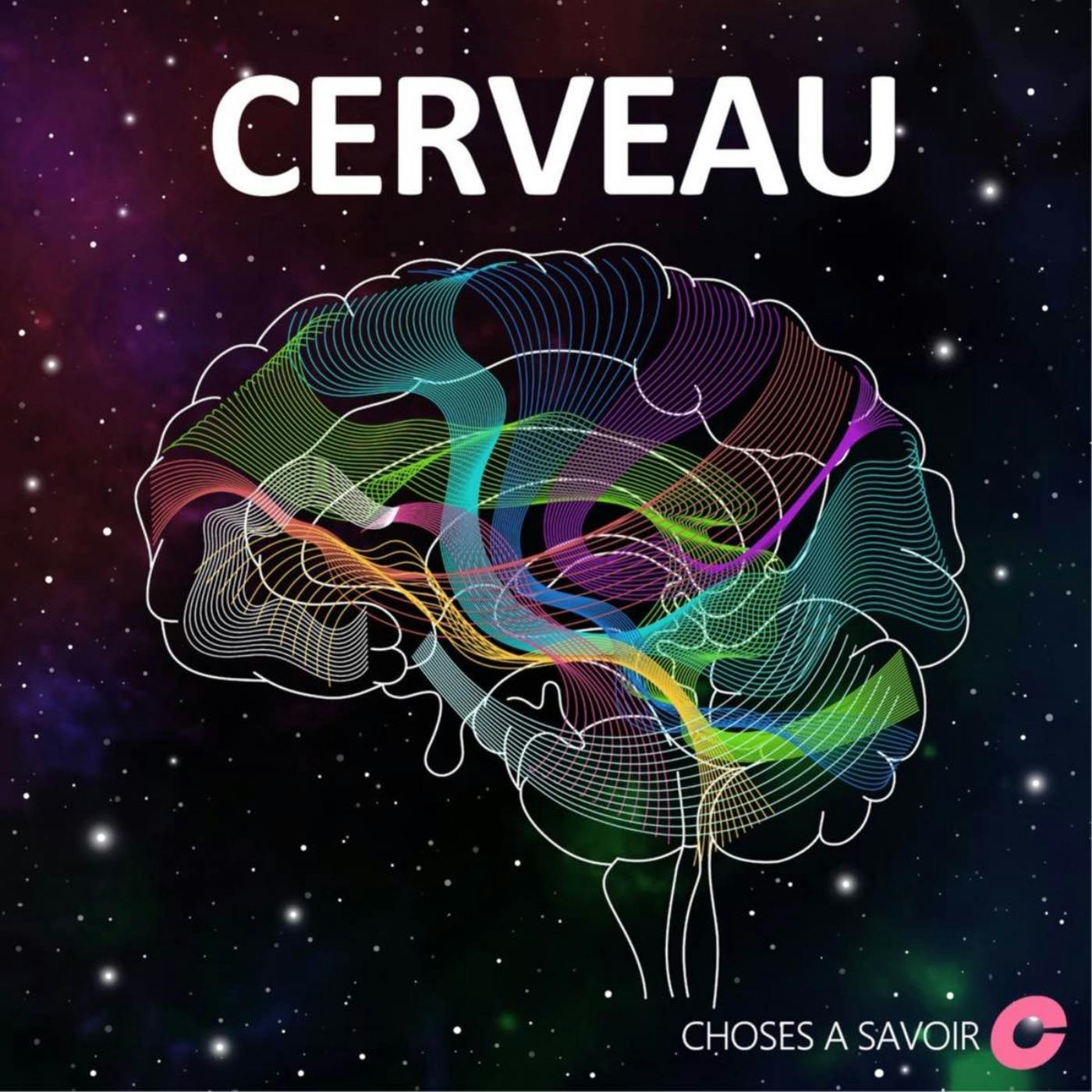 Le tempo de la parole se trouve en dehors du cerveau ?