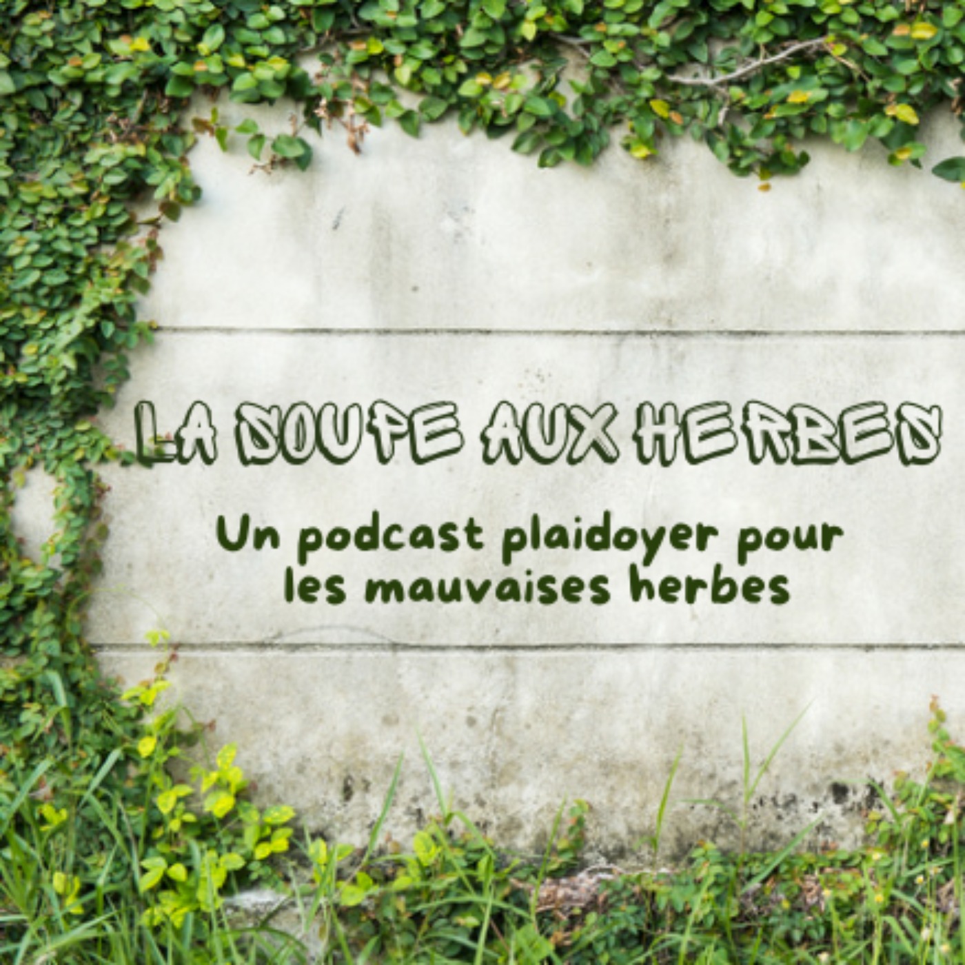 La Soupe aux Herbes