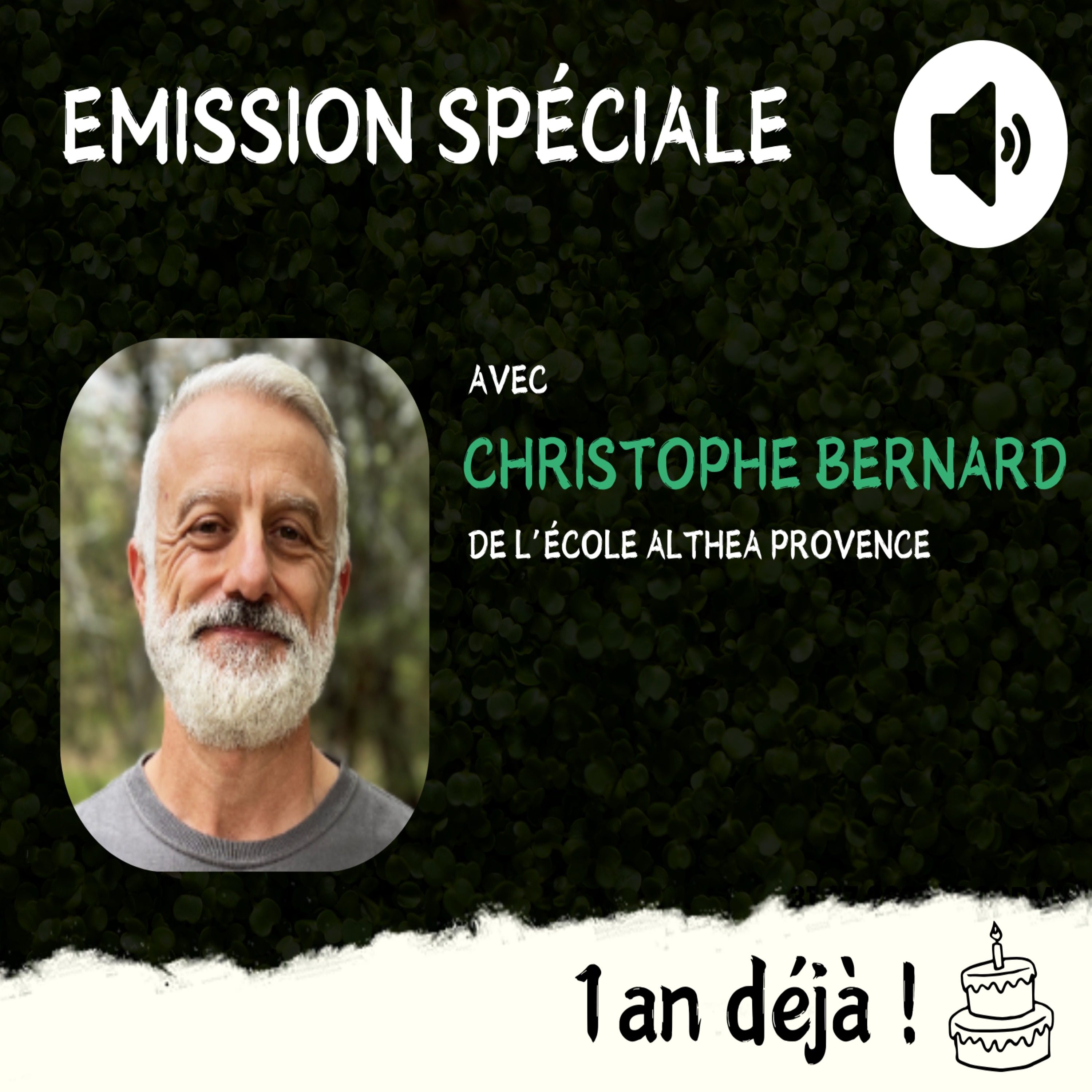 Rencontre avec Christophe Bernard