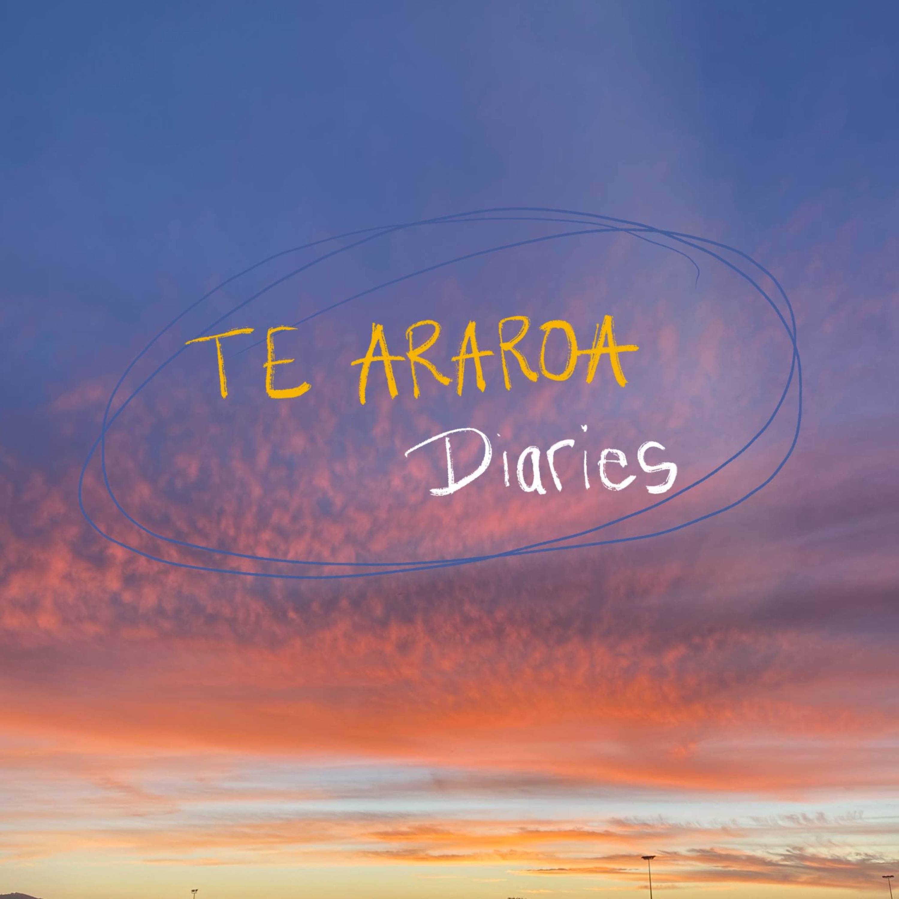 Te Araroa diaries 5 – Randonner de nuit n’était pas dans mes plans