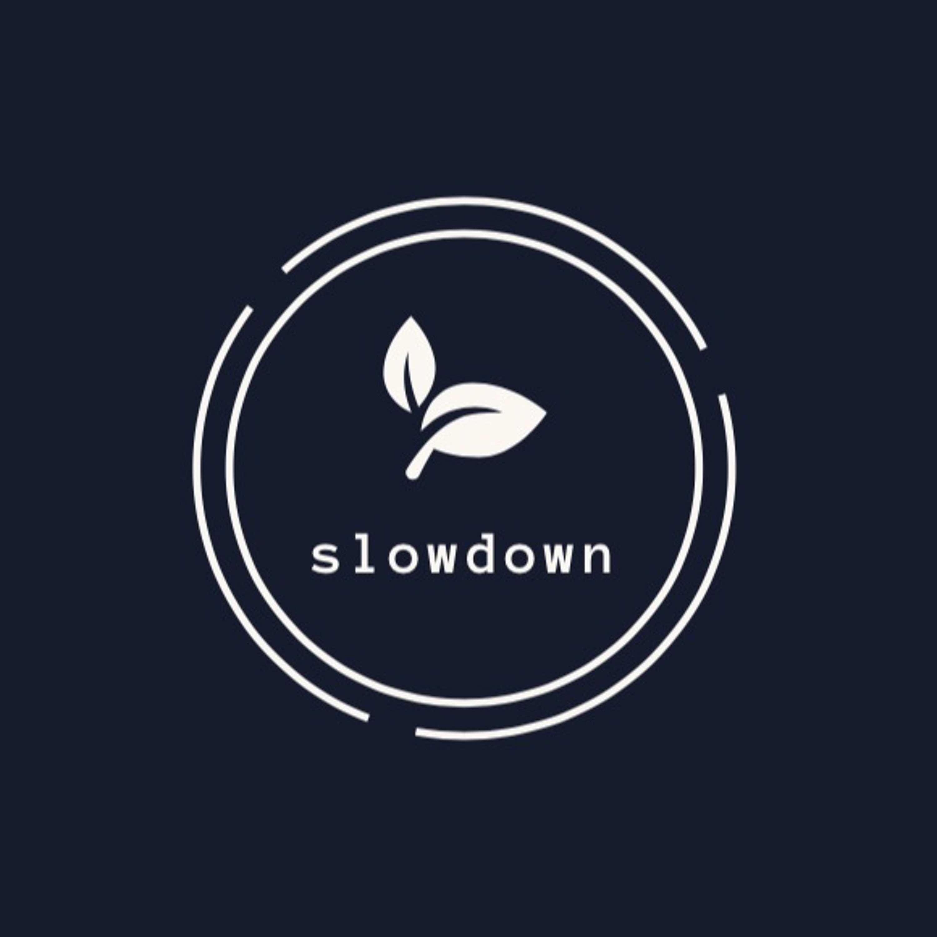 slowdown 9 (2023)