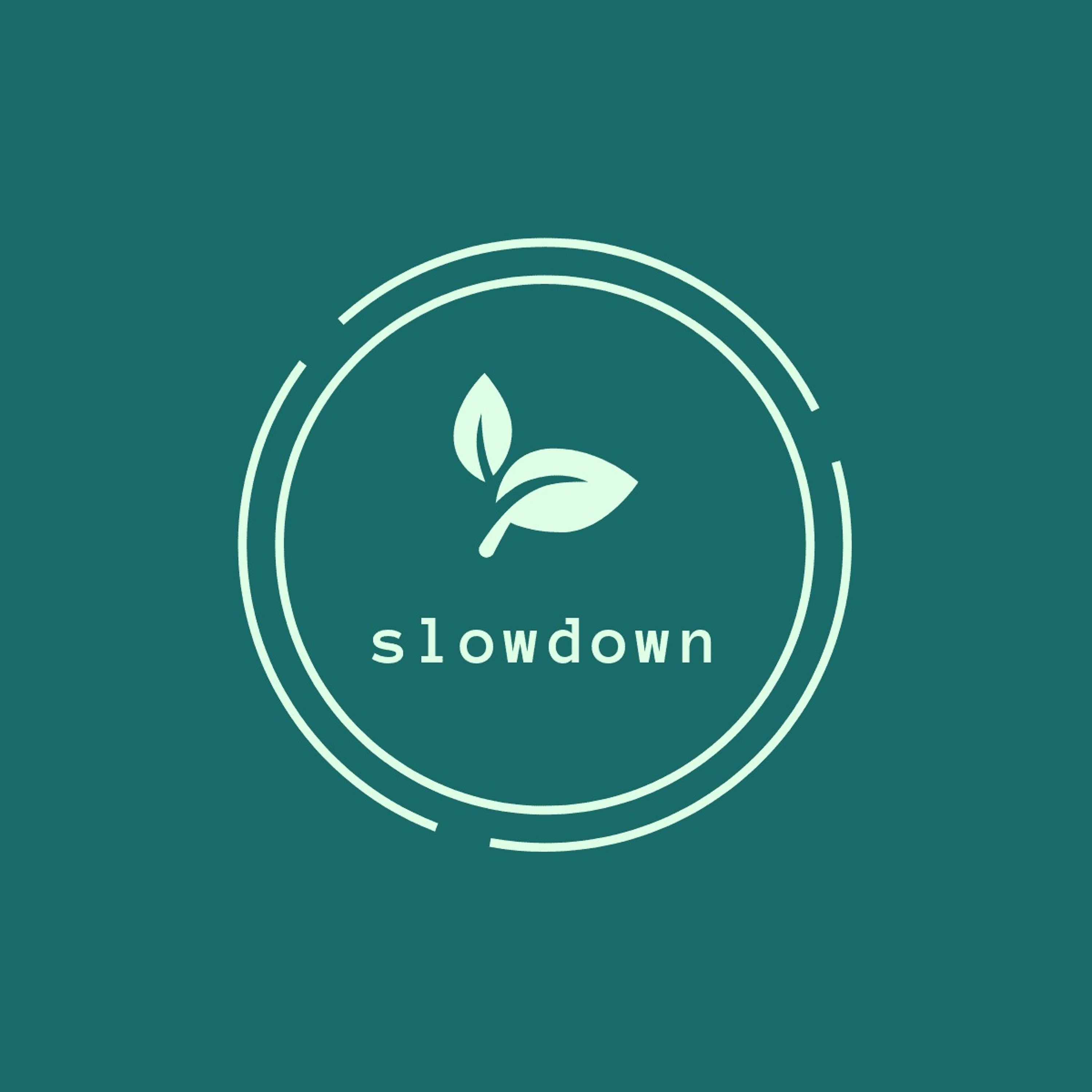 slowdown 3
