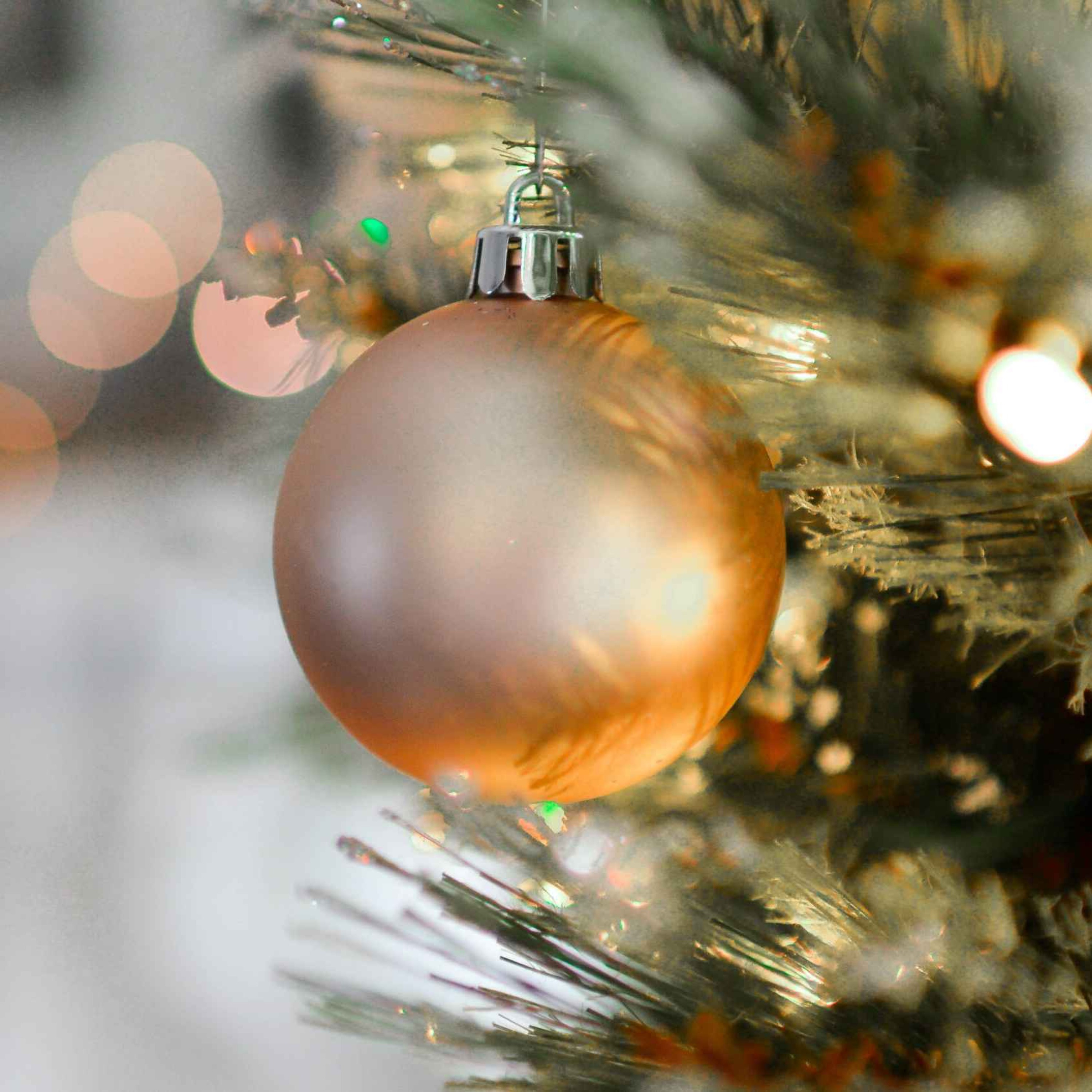 Joyeux Noël ou la résurrection d'Eugène Bersier | Pasteurs Nathalie Chaumet et Louis Pernot