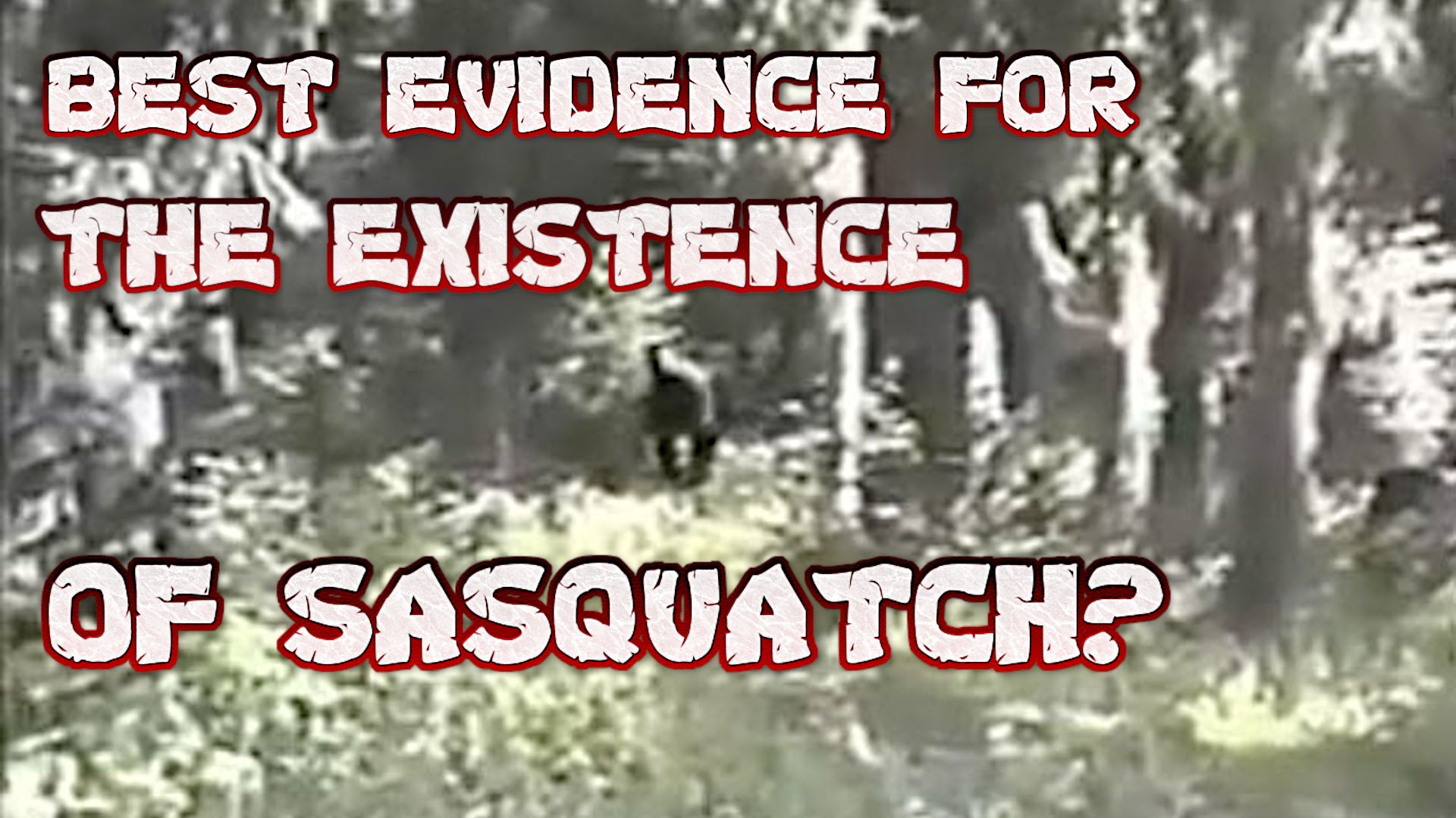 Paranormal: Fable or Fact