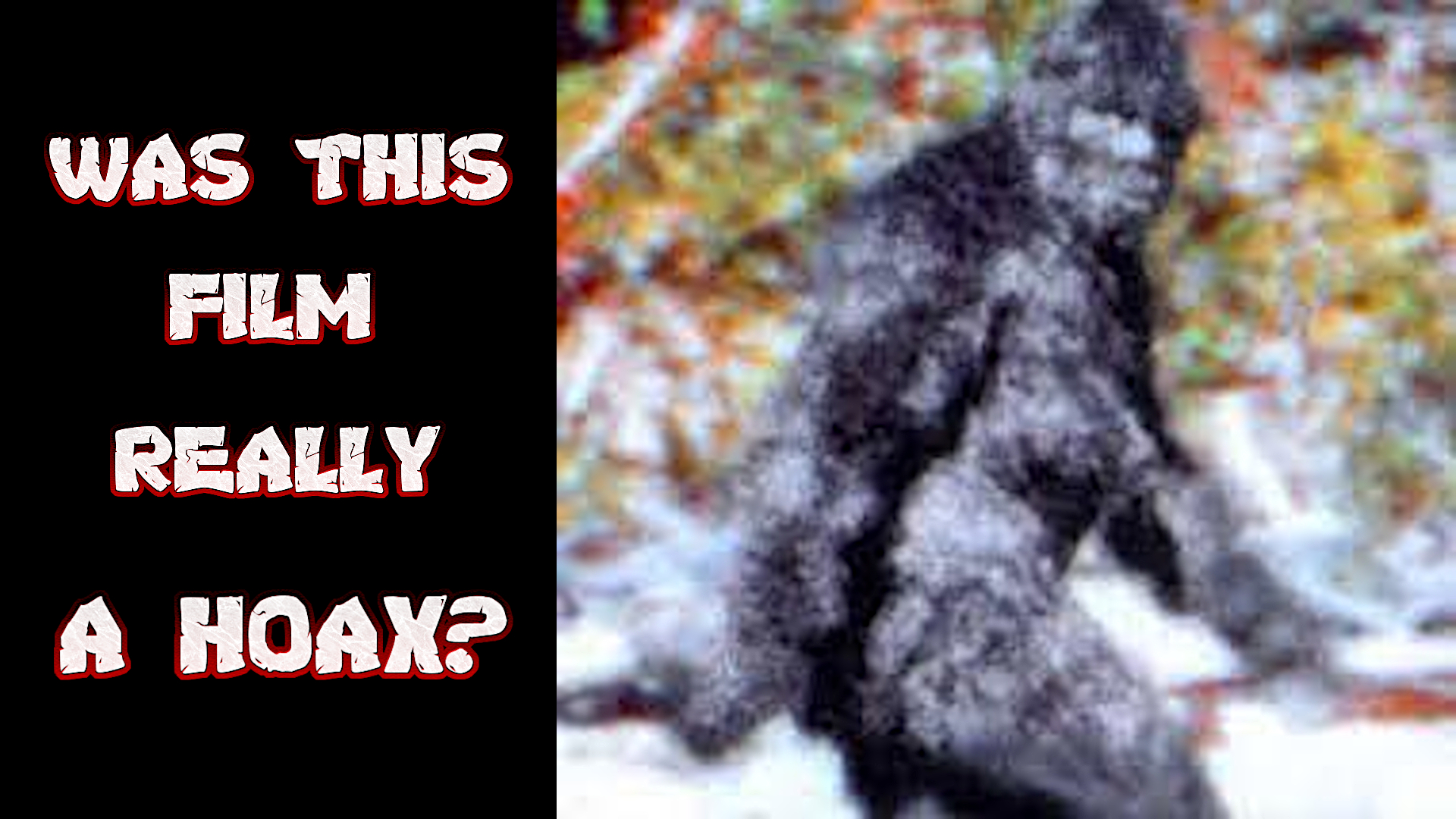 Paranormal: Fable or Fact