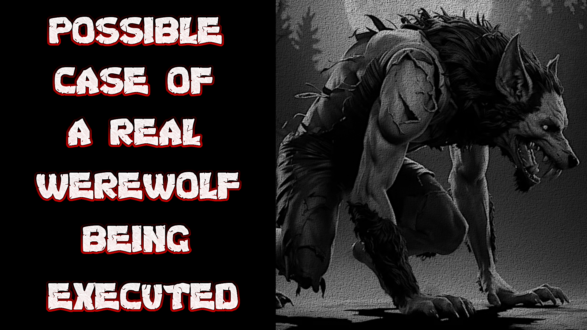 Paranormal: Fable or Fact