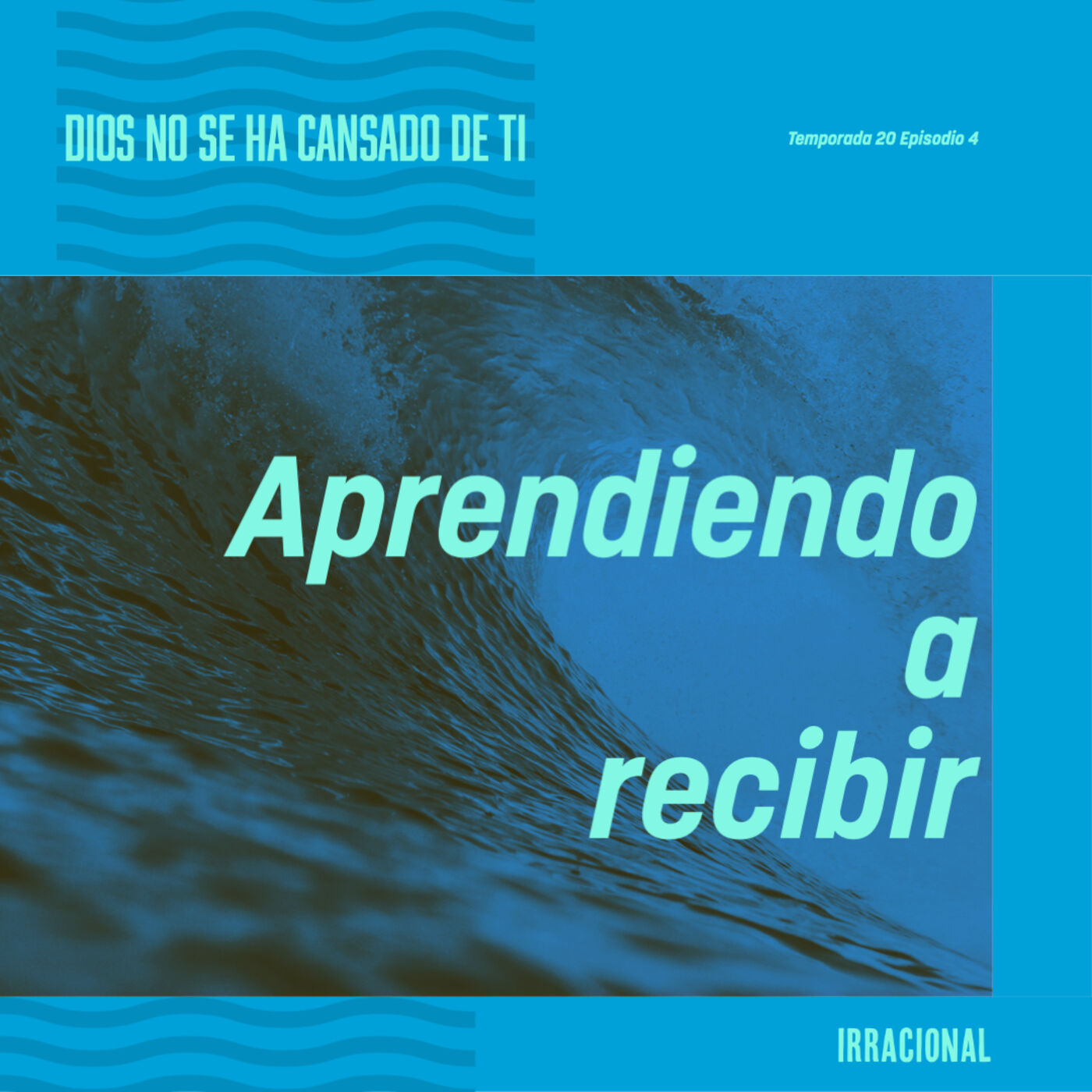 Vida Irracional