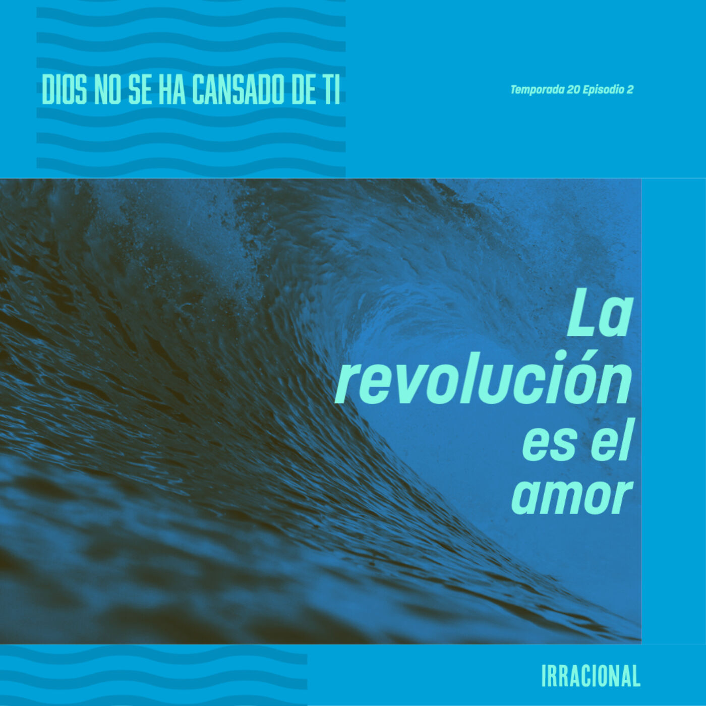 Vida Irracional