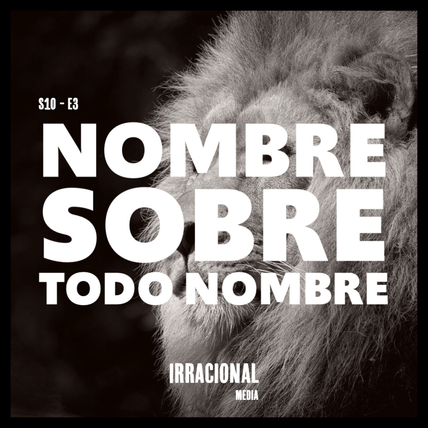Vida Irracional