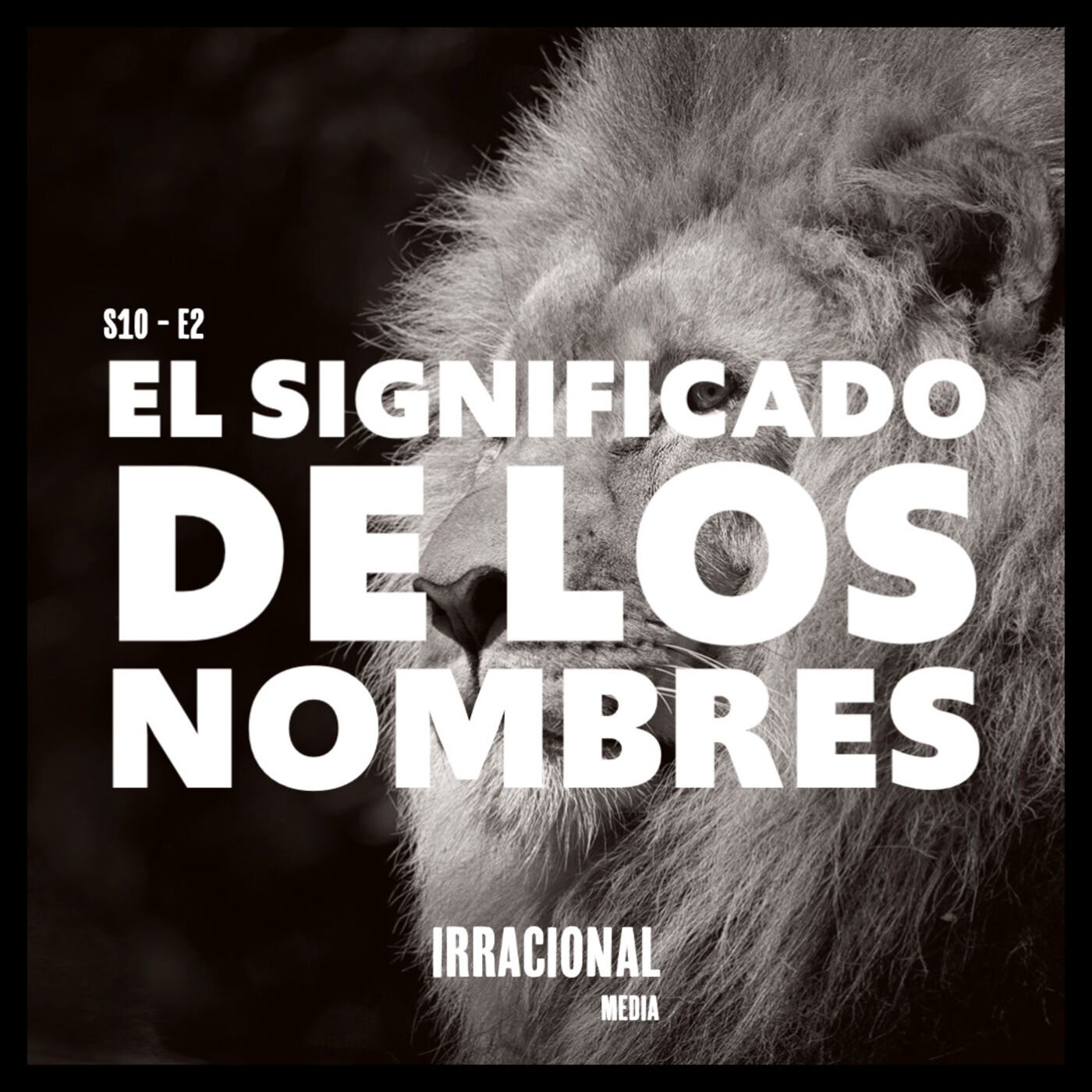 Vida Irracional