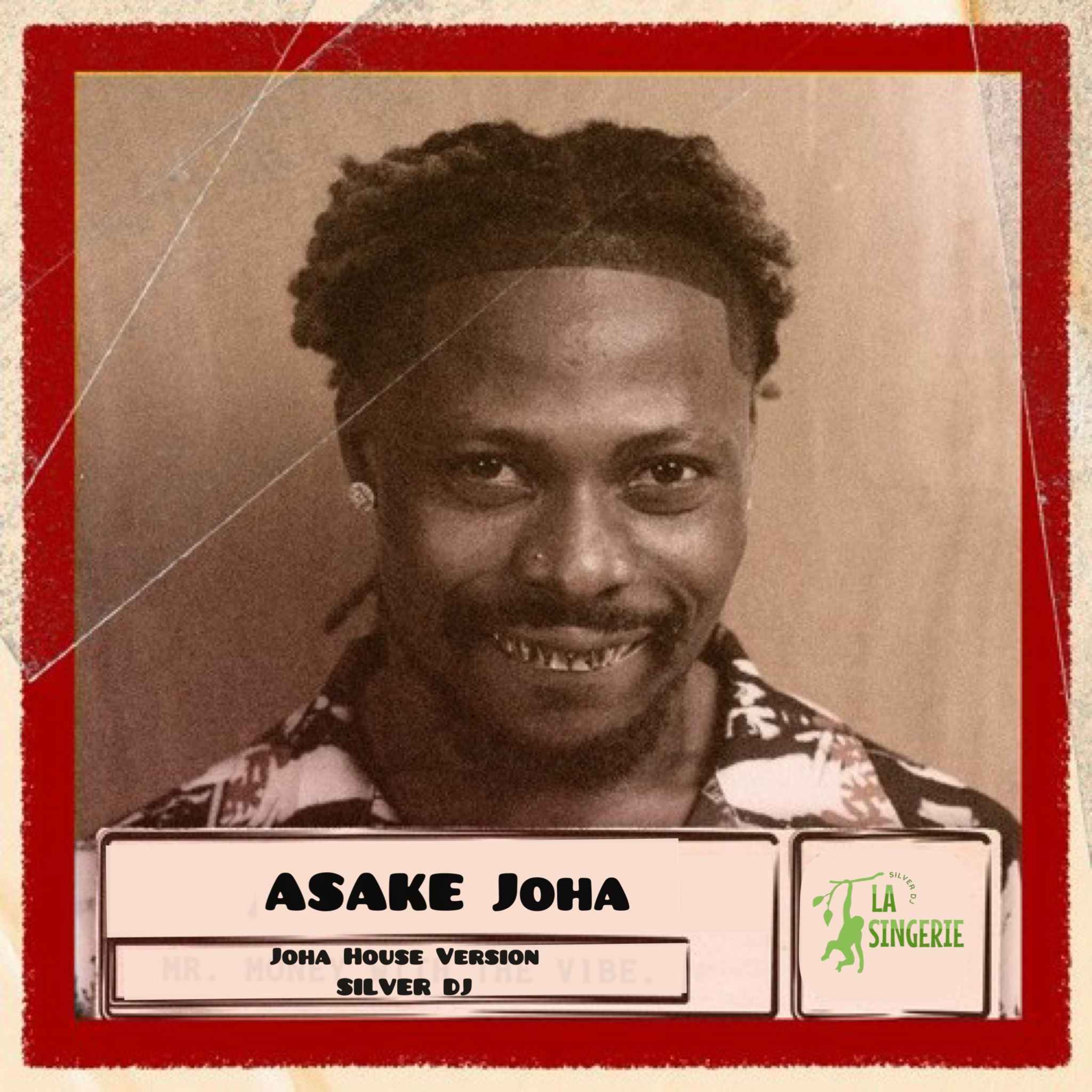 Asake Joha House ( DJ Mix ) episode artwork
