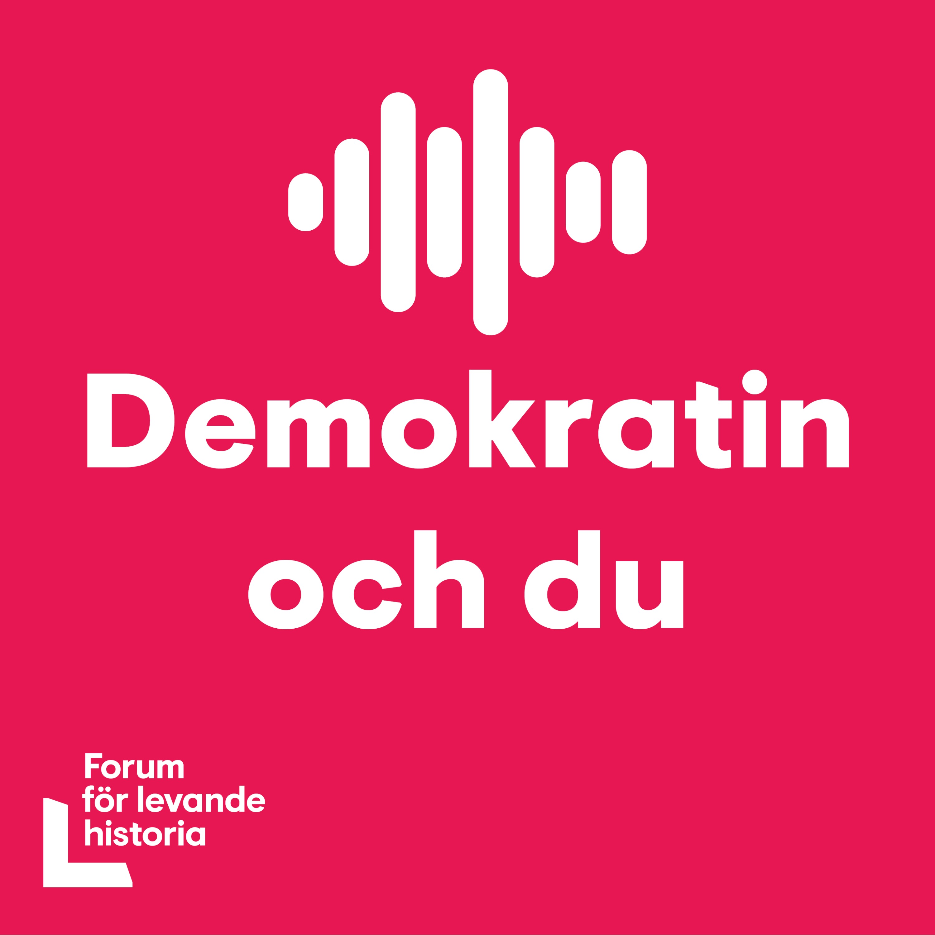 Kan insatser för demokratin också motverka den?