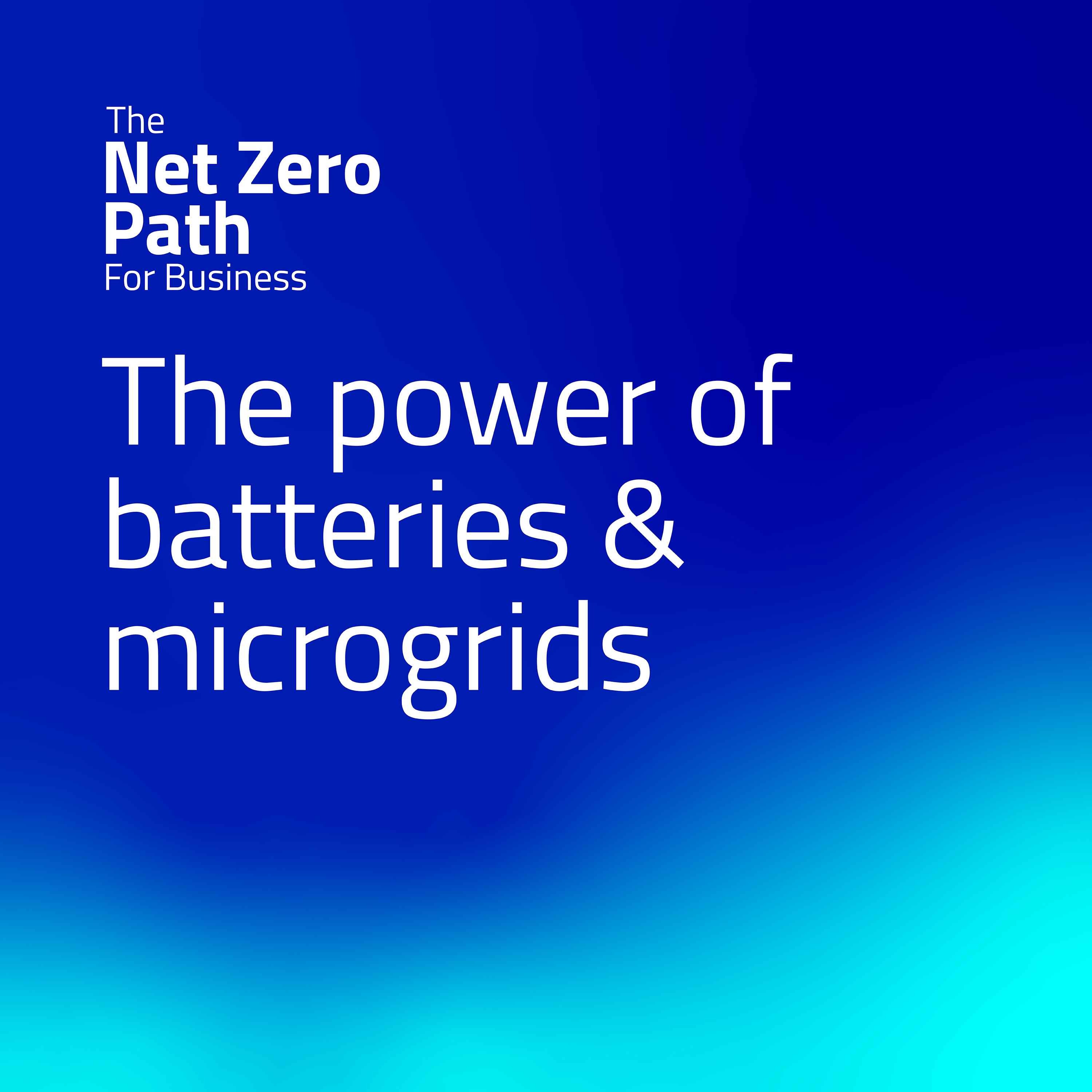 4. The Power Of Batteries & Microgrids - The Net Zero Path For Business ...