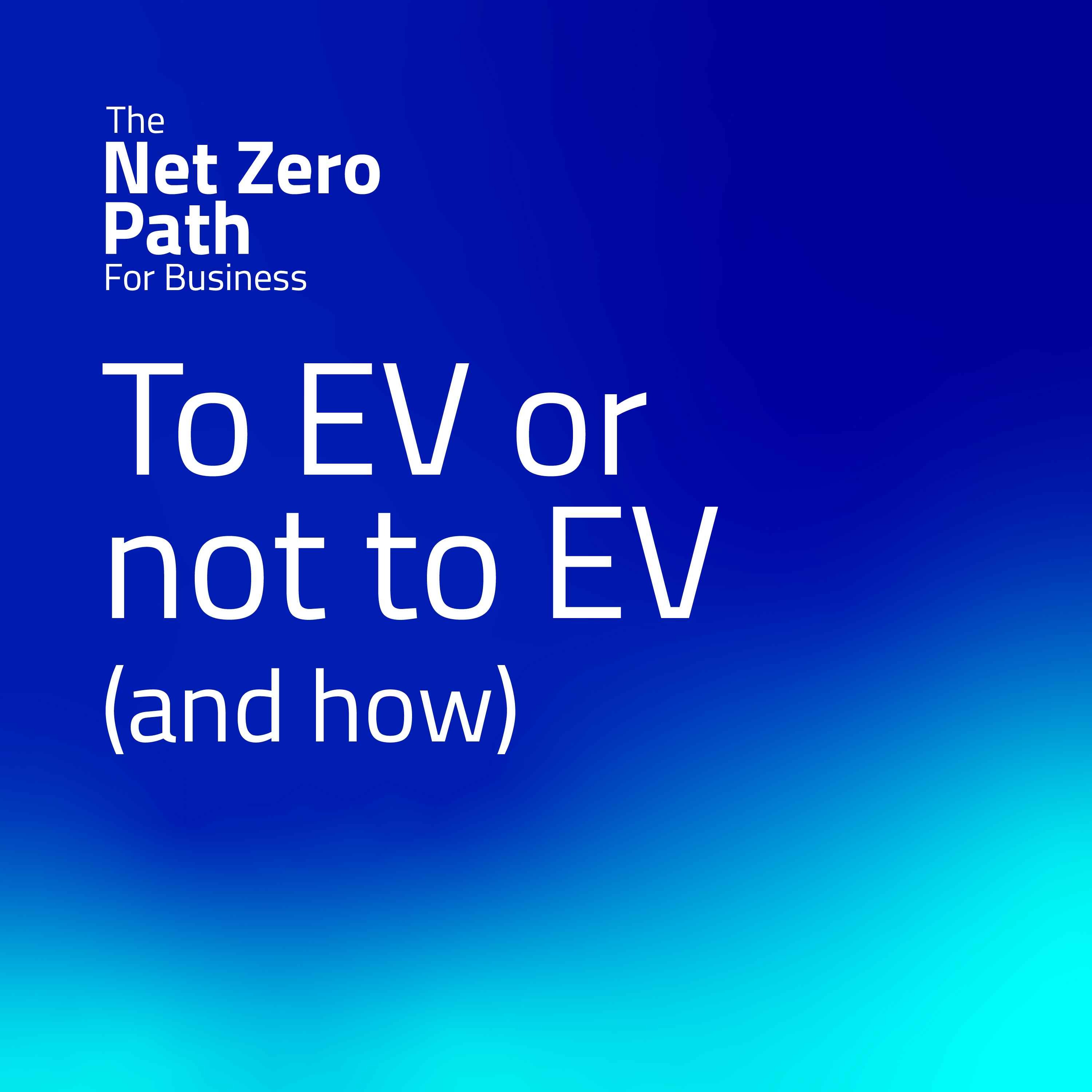5. To EV or not to EV (and how)