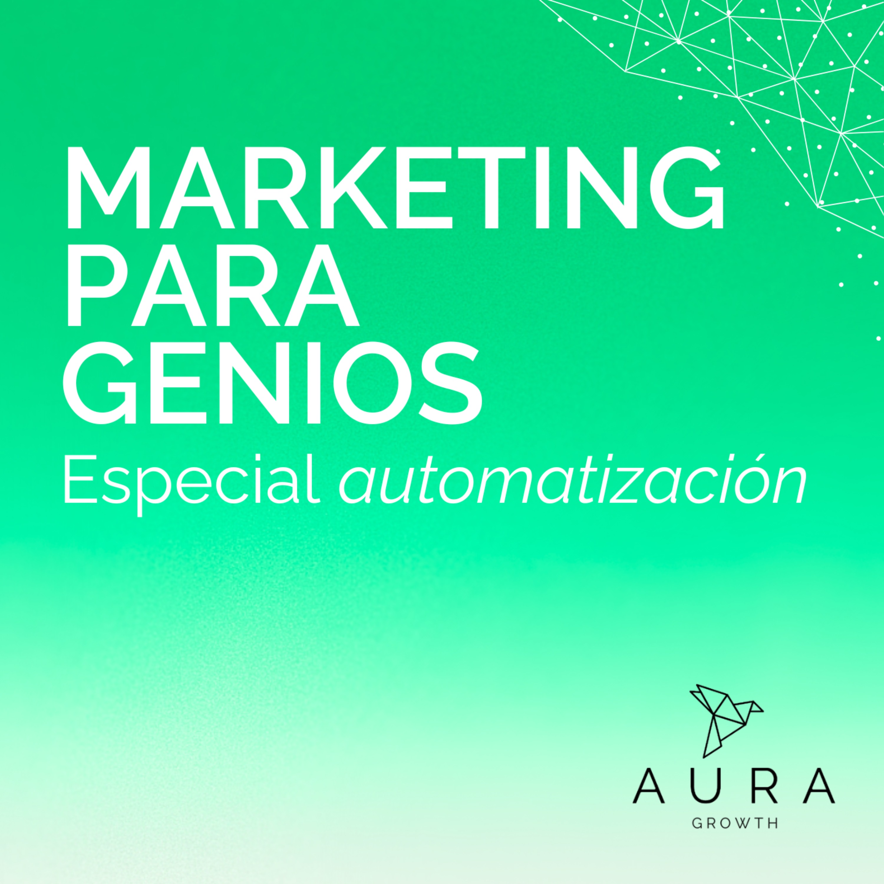 45 | Auditoría y set up iniciales. -Automatización- episode artwork
