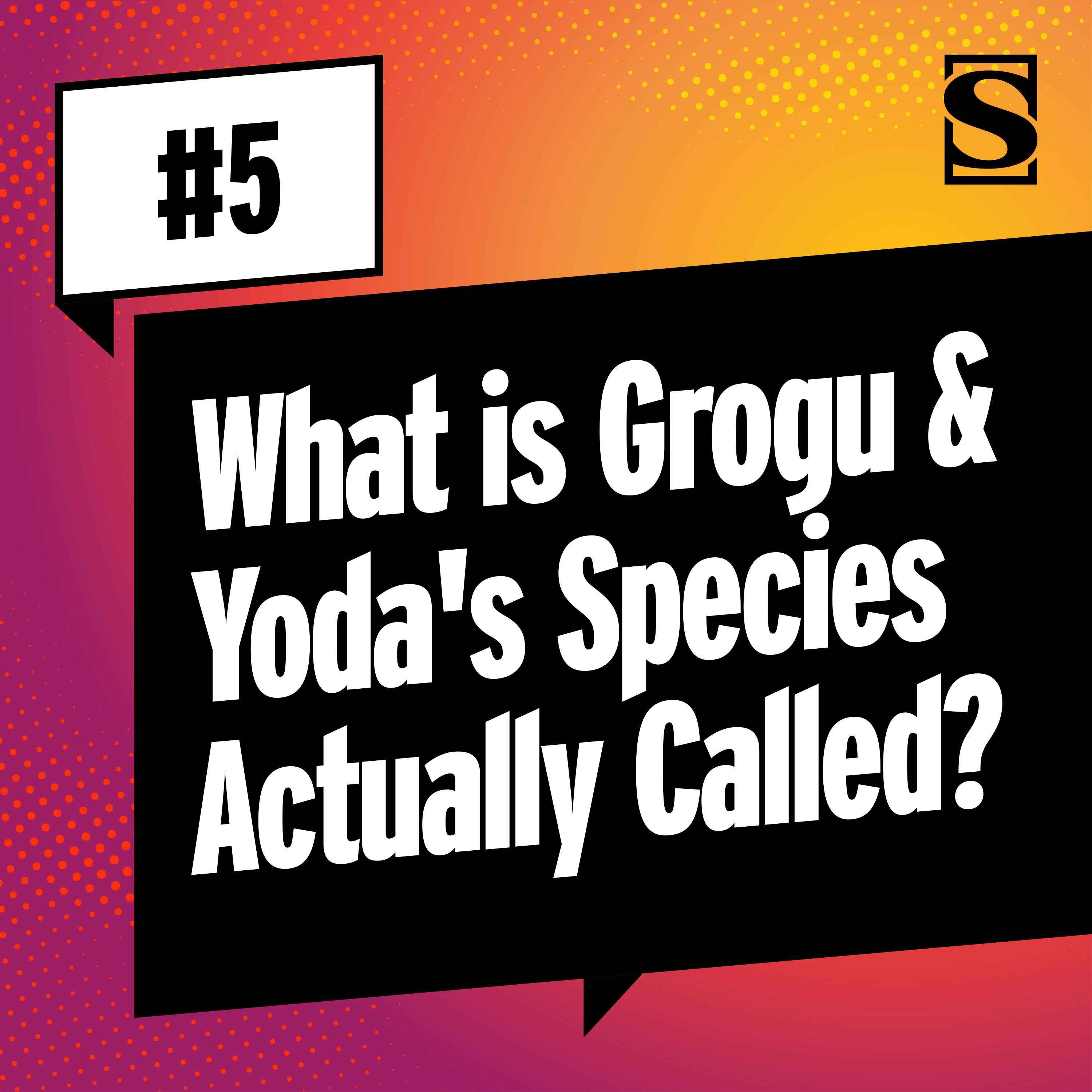 What is Grogu and Yoda's Species Actually Called?