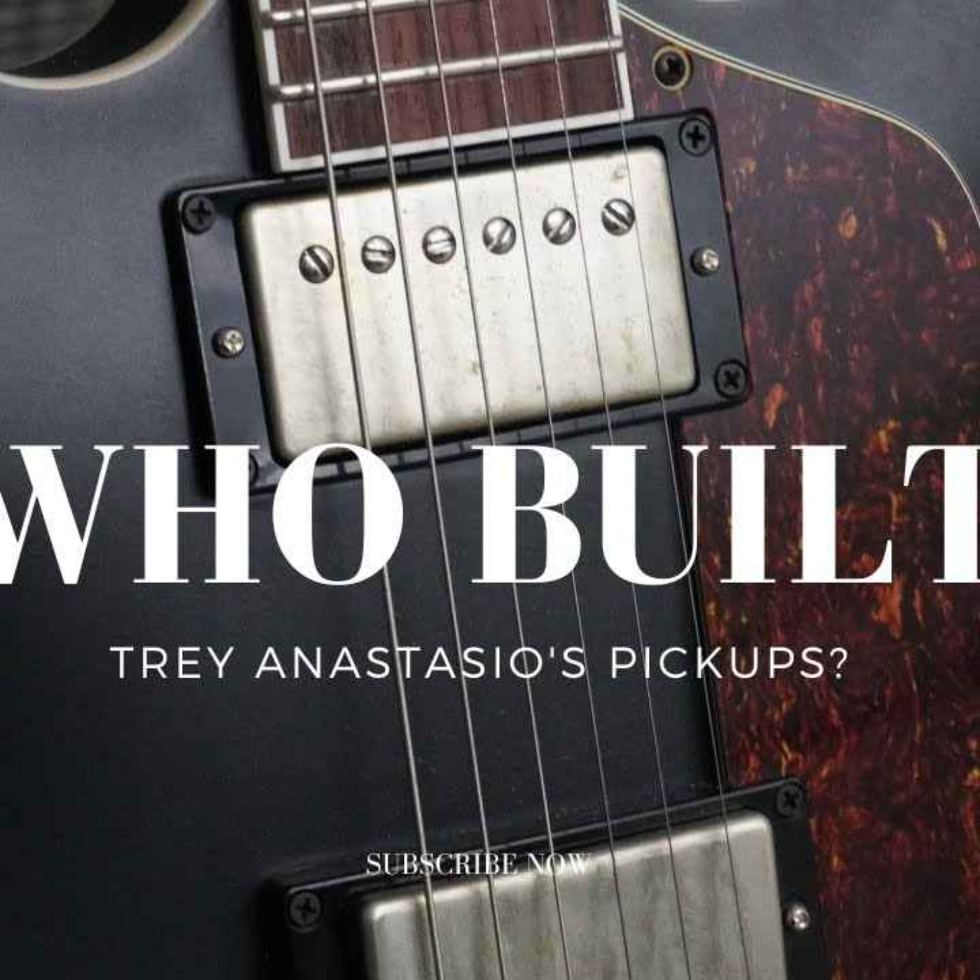 Who Built Trey Anastasio's Pickups?