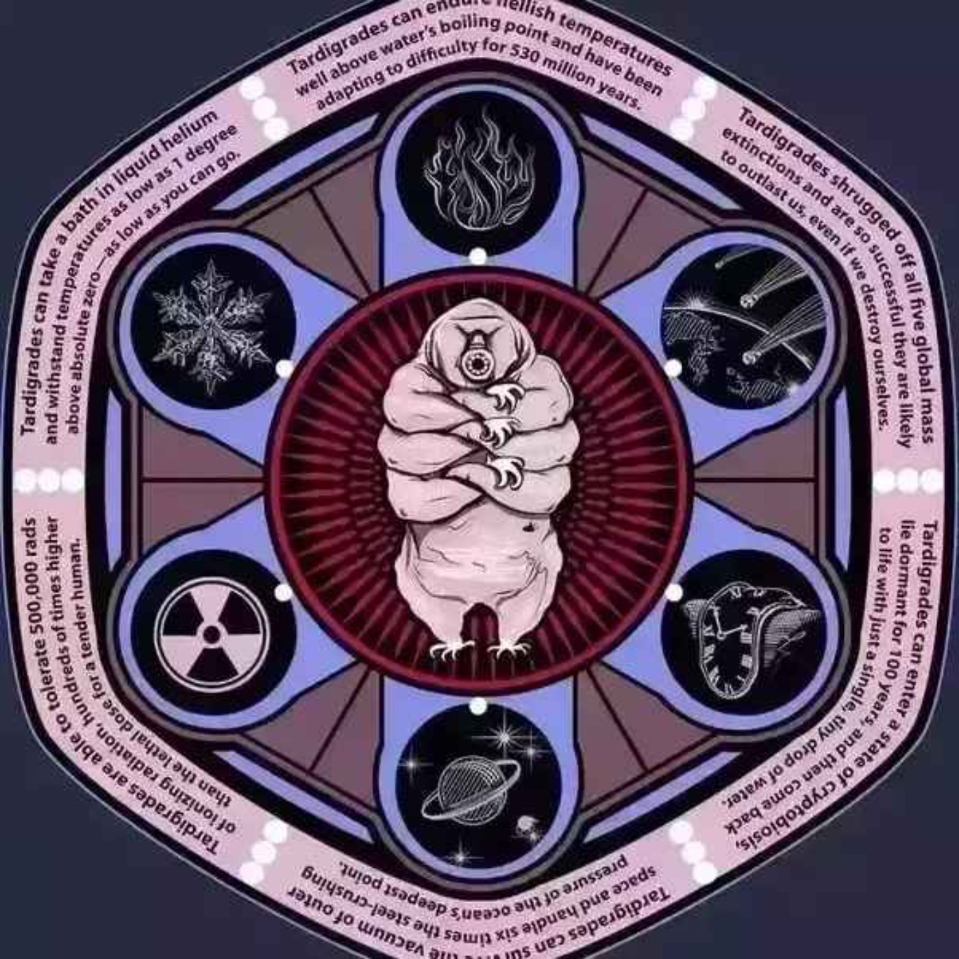 Could we become immortal?:CAN WE LIVE FOREVER? episode artwork