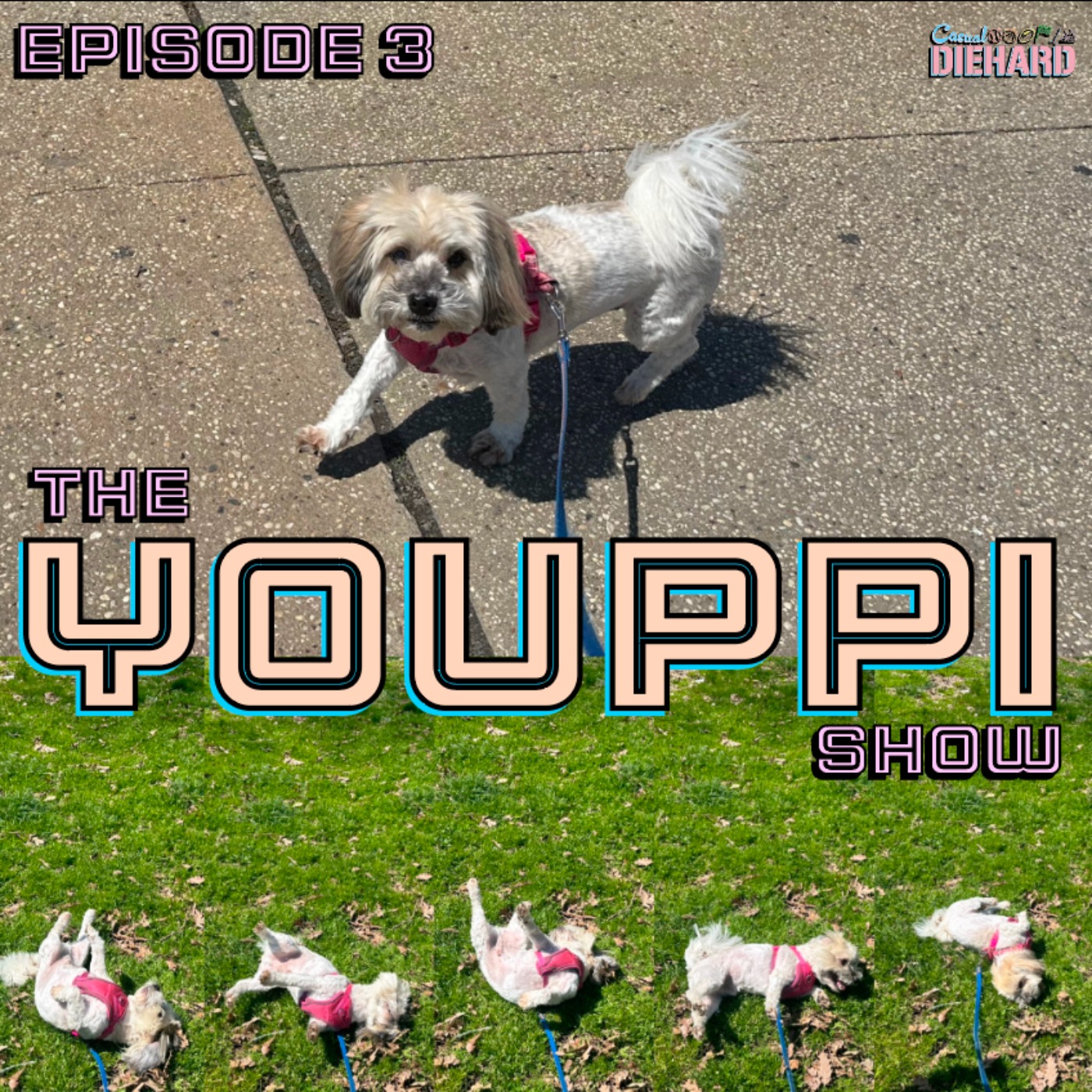 Jennie Egerdie (The Youppi Cut)