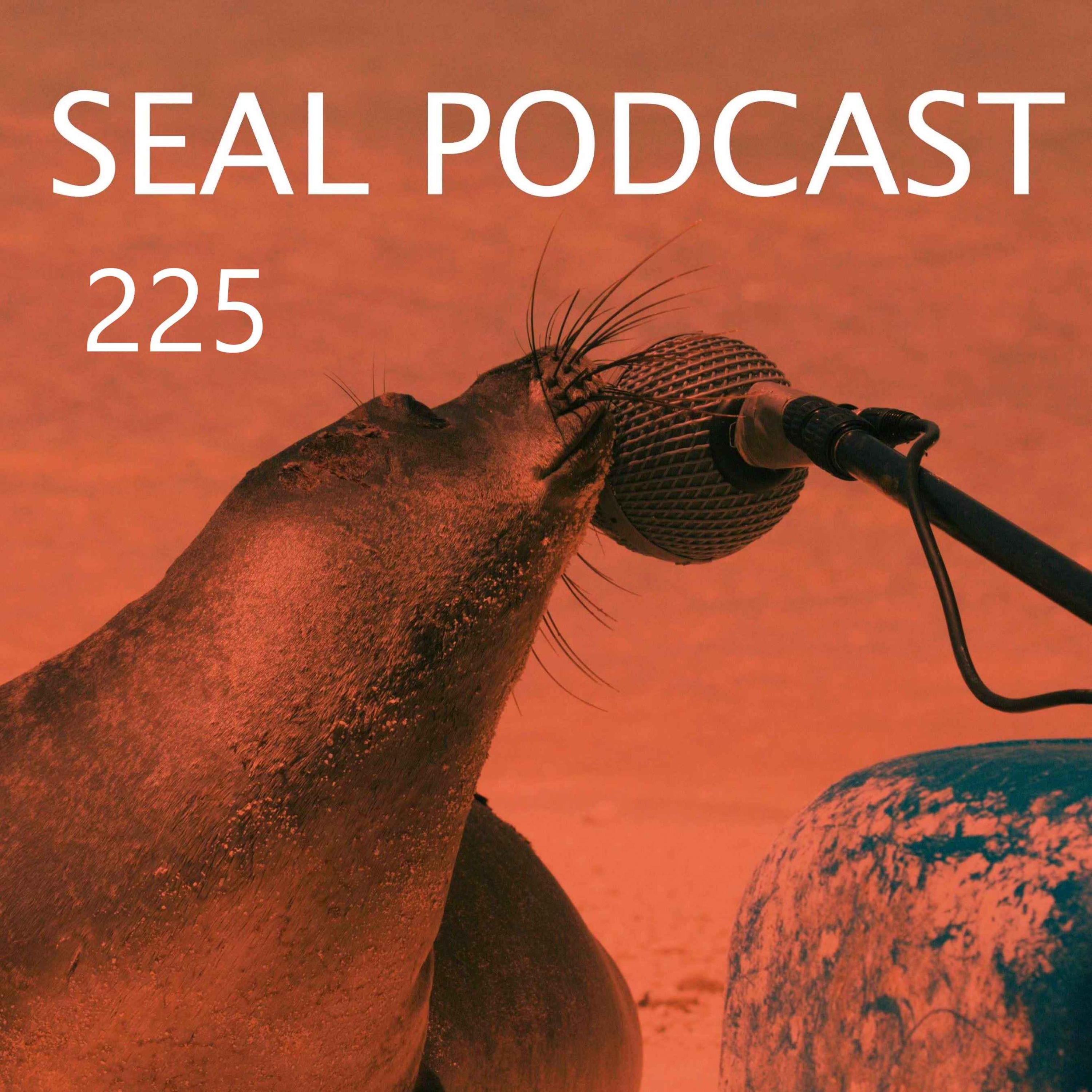 Episode 225 - Gros Michel