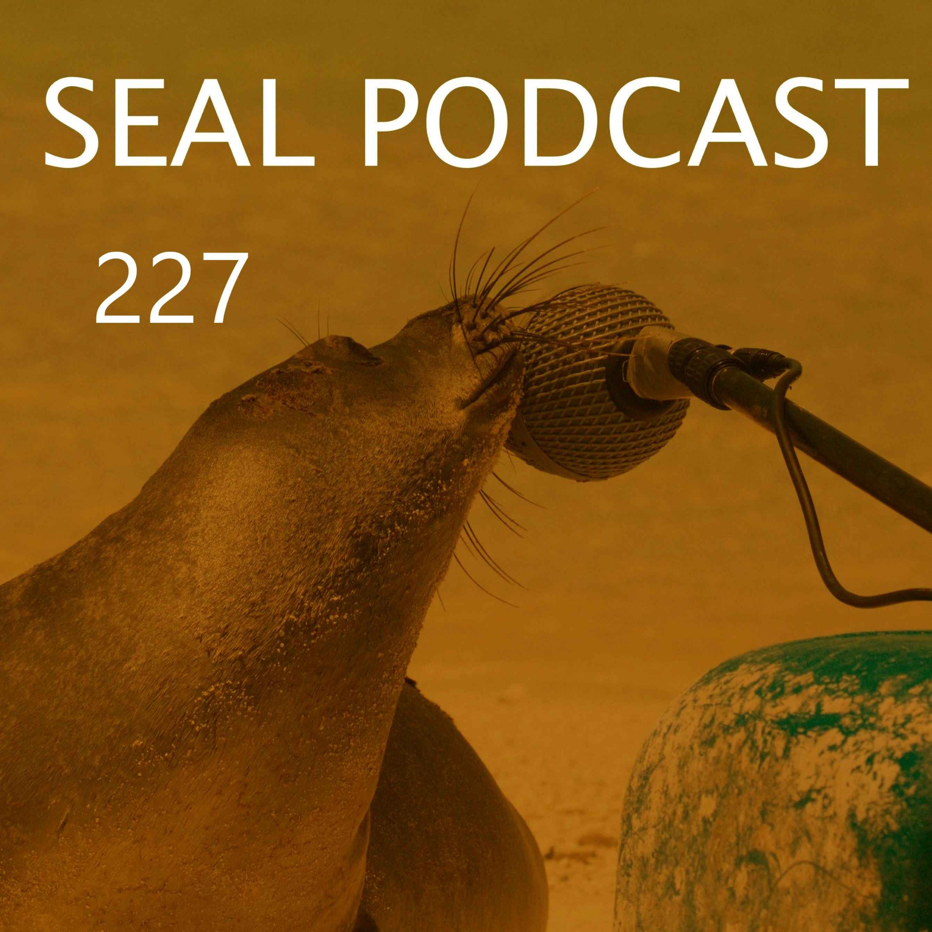 Episode 227 - Butterfly Wings
