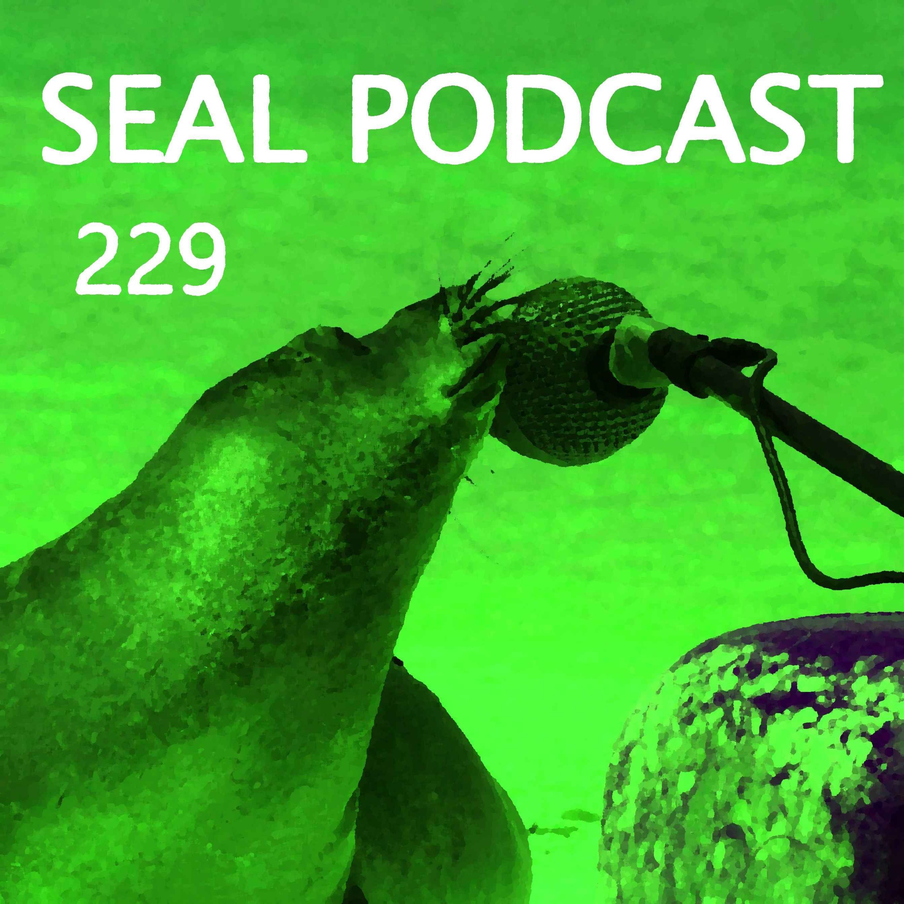 Episode 229 - Pull Ups