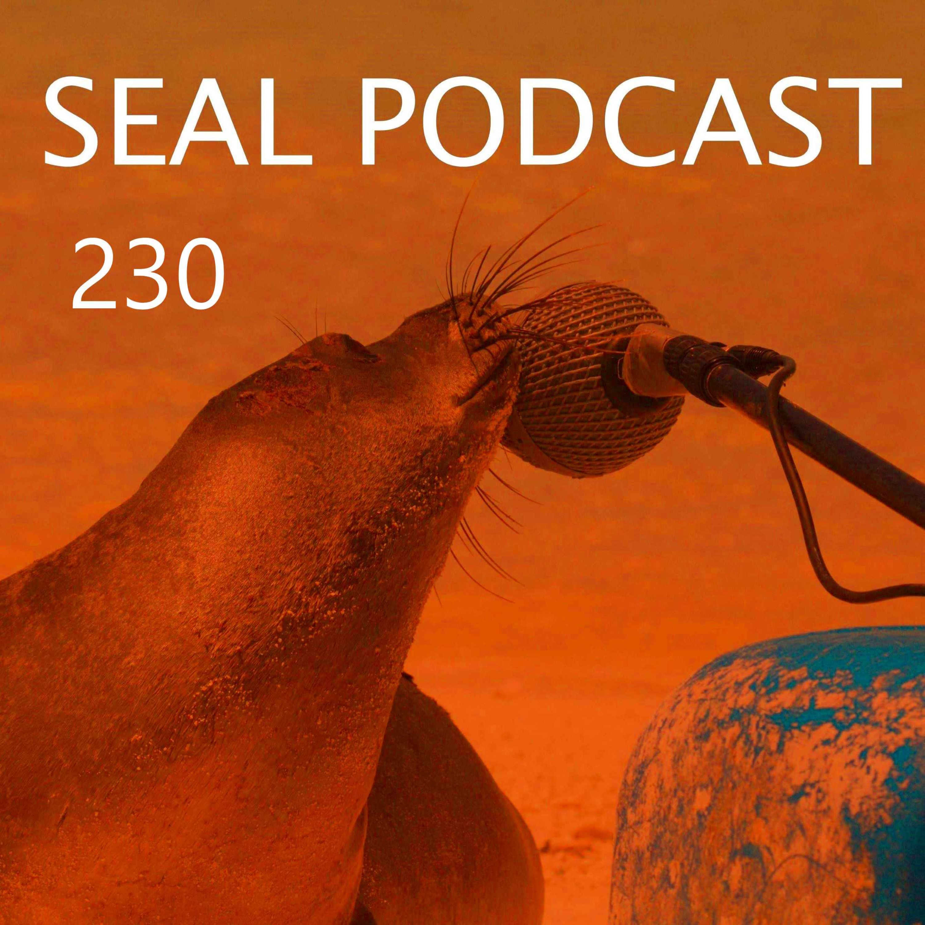 Episode 230 - Footy Witch
