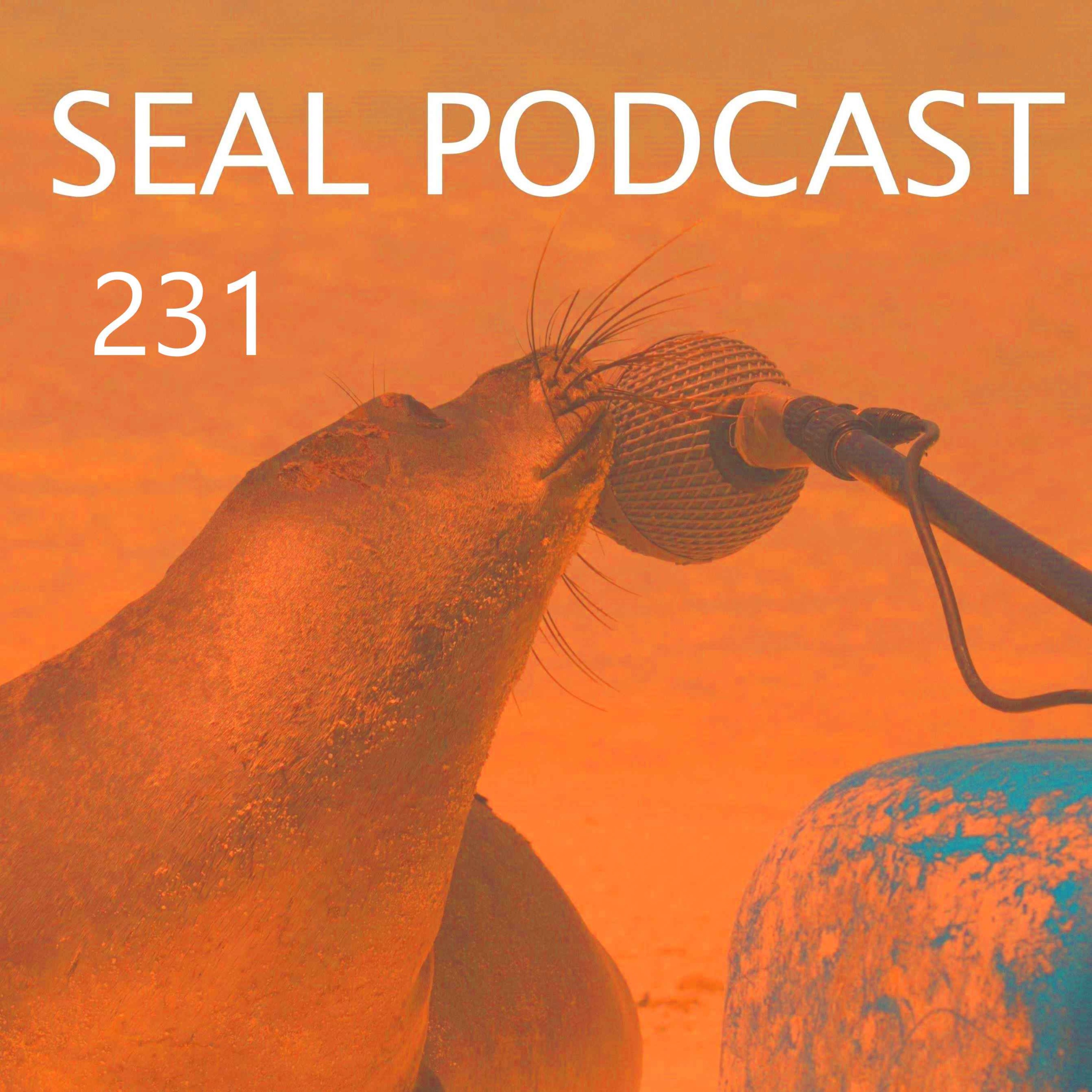 Episode 231 - No Title