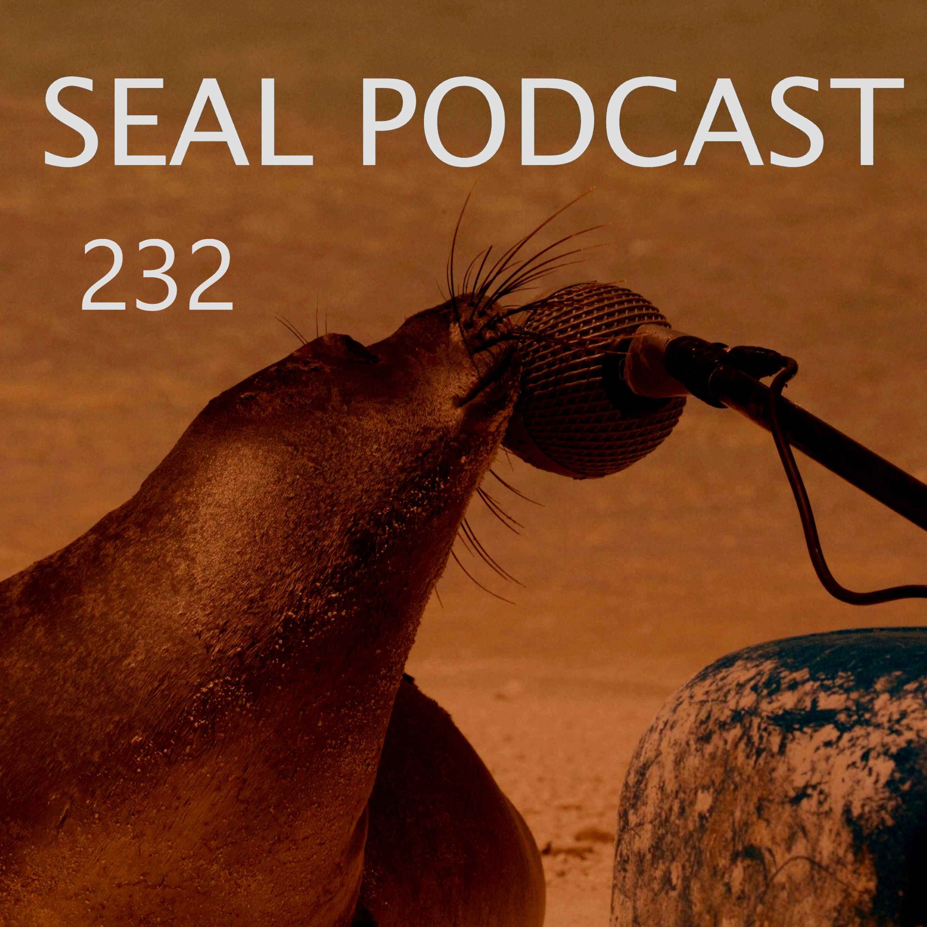 Episode 232 - Sexy Coconut