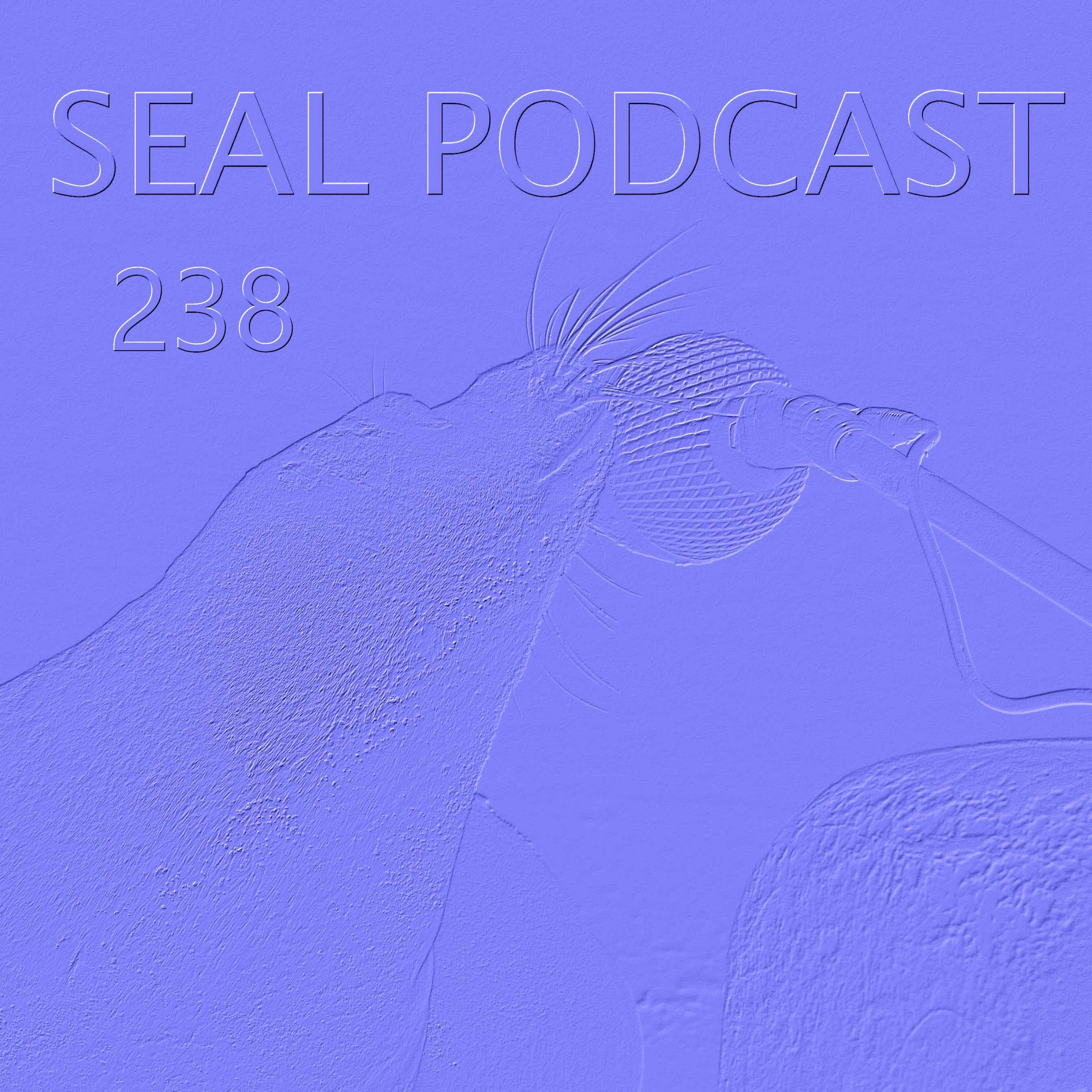 Episode 238 - Money Buckets