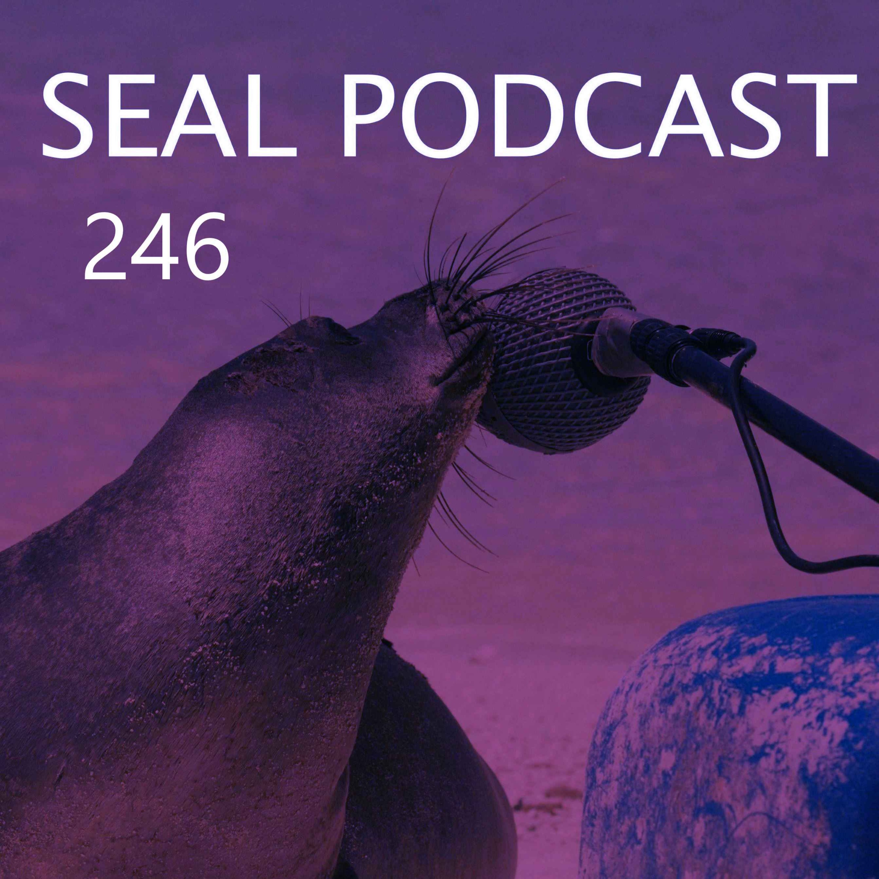Episode 246 - People Talking